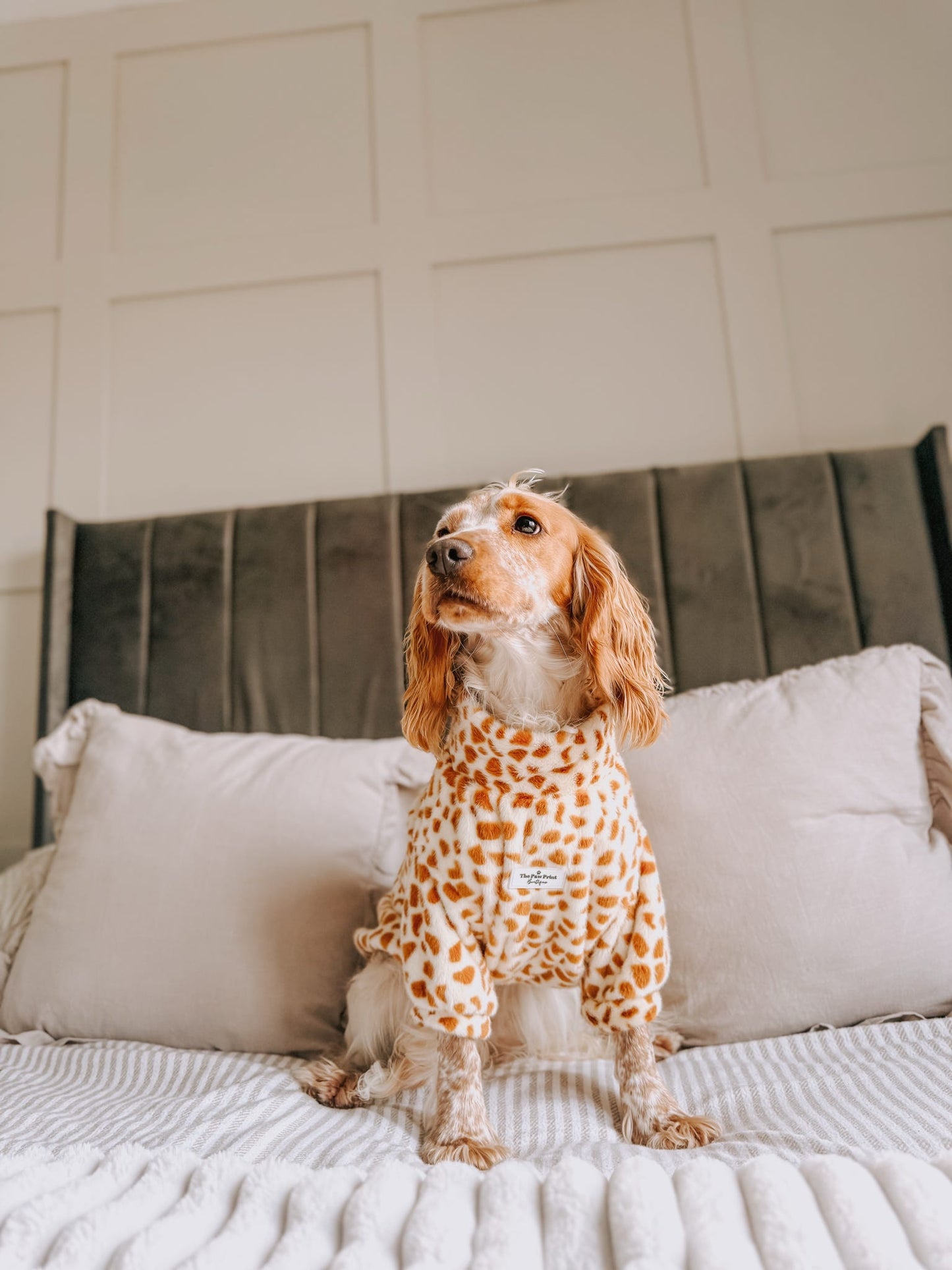 The Giraffe Print Fluffy & Fabulous Fleece