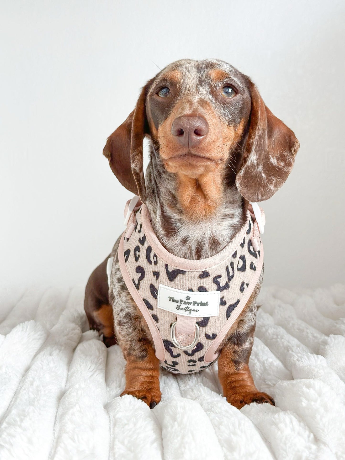 The Luxe Leopard (Beige) Adjustable Harness