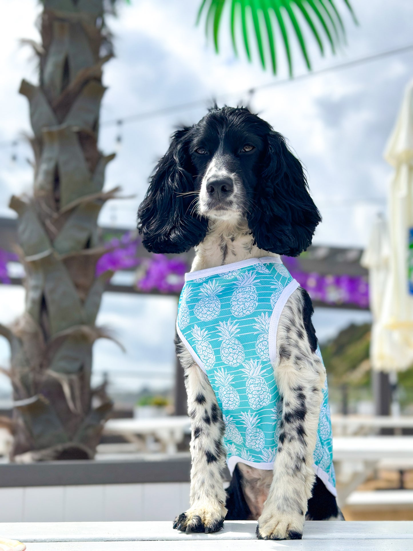 The Pineapple Pawty Cooling Vest