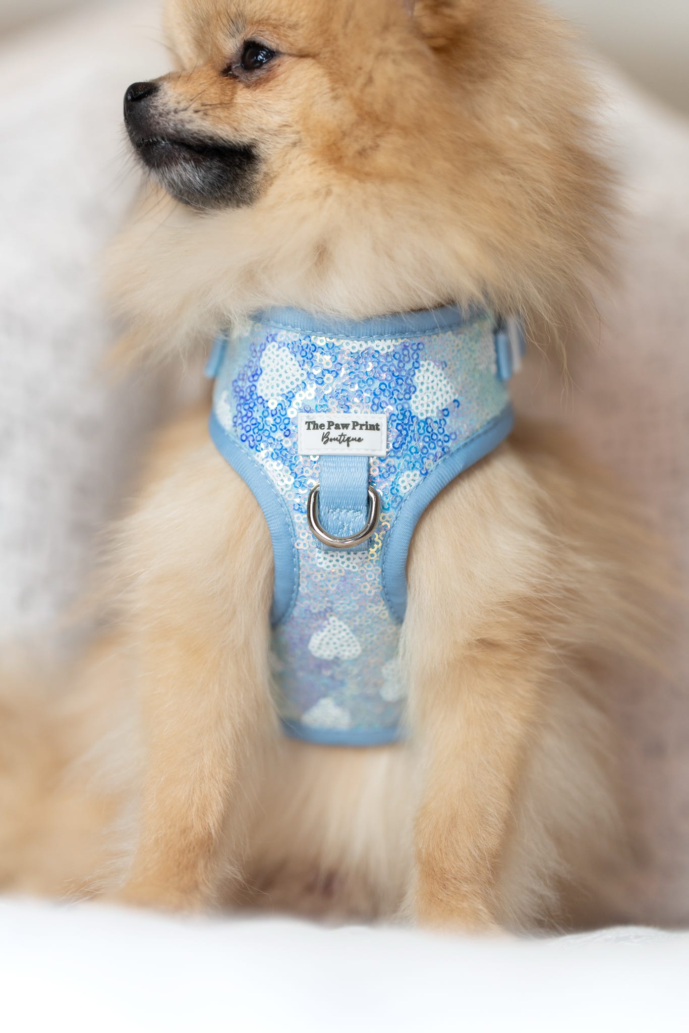 The Sassy in Sequins - Baby Blue Adjustable Harness