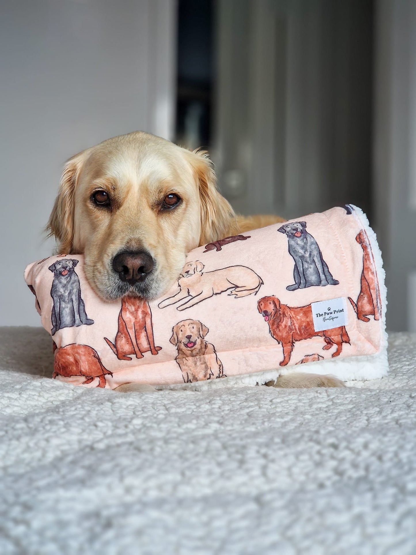 The Labrador / Retriever Dog Blanket