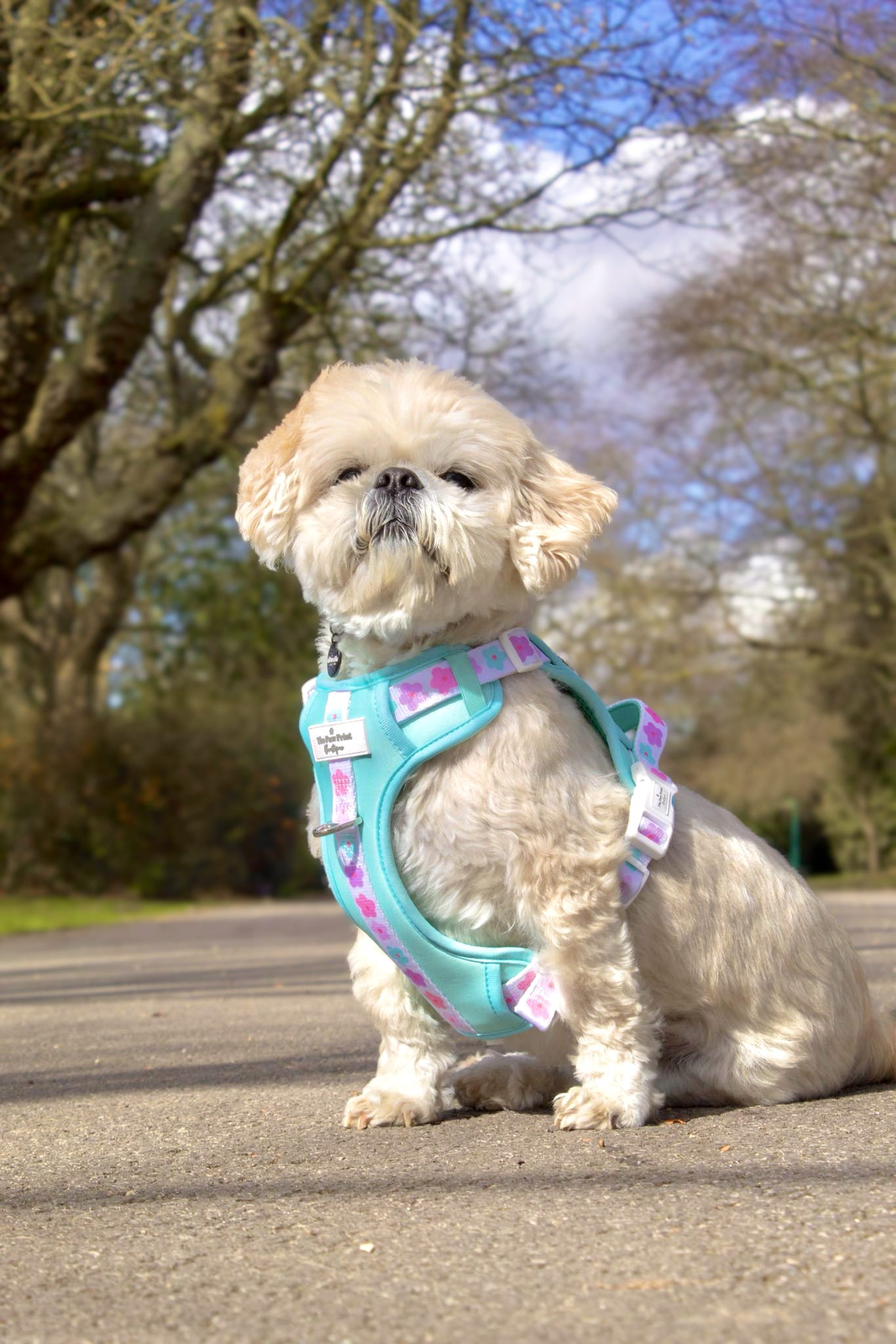 The Minty Meadows Adventure Paws Harness