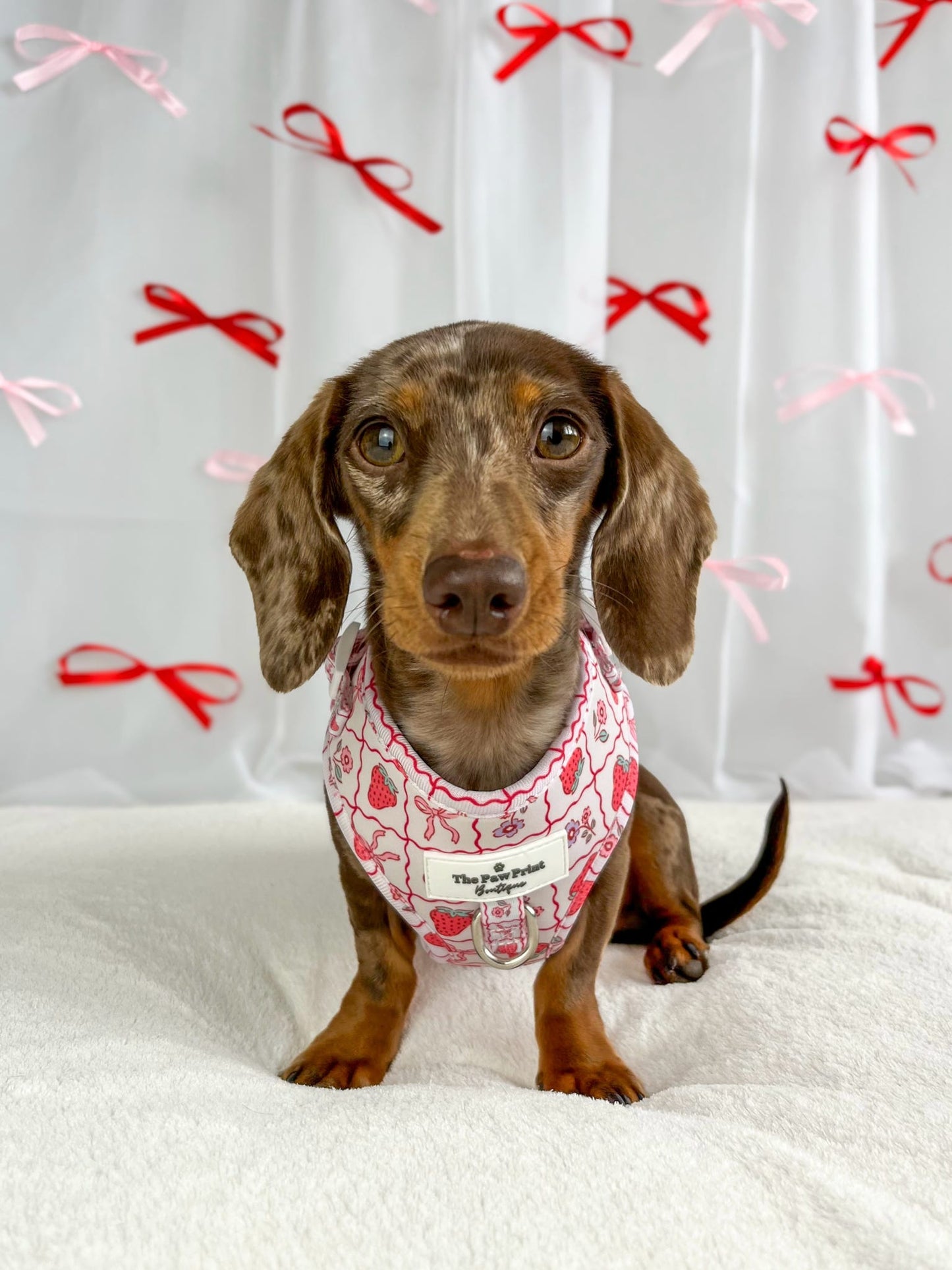 The Bows & Berries Adjustable Harness