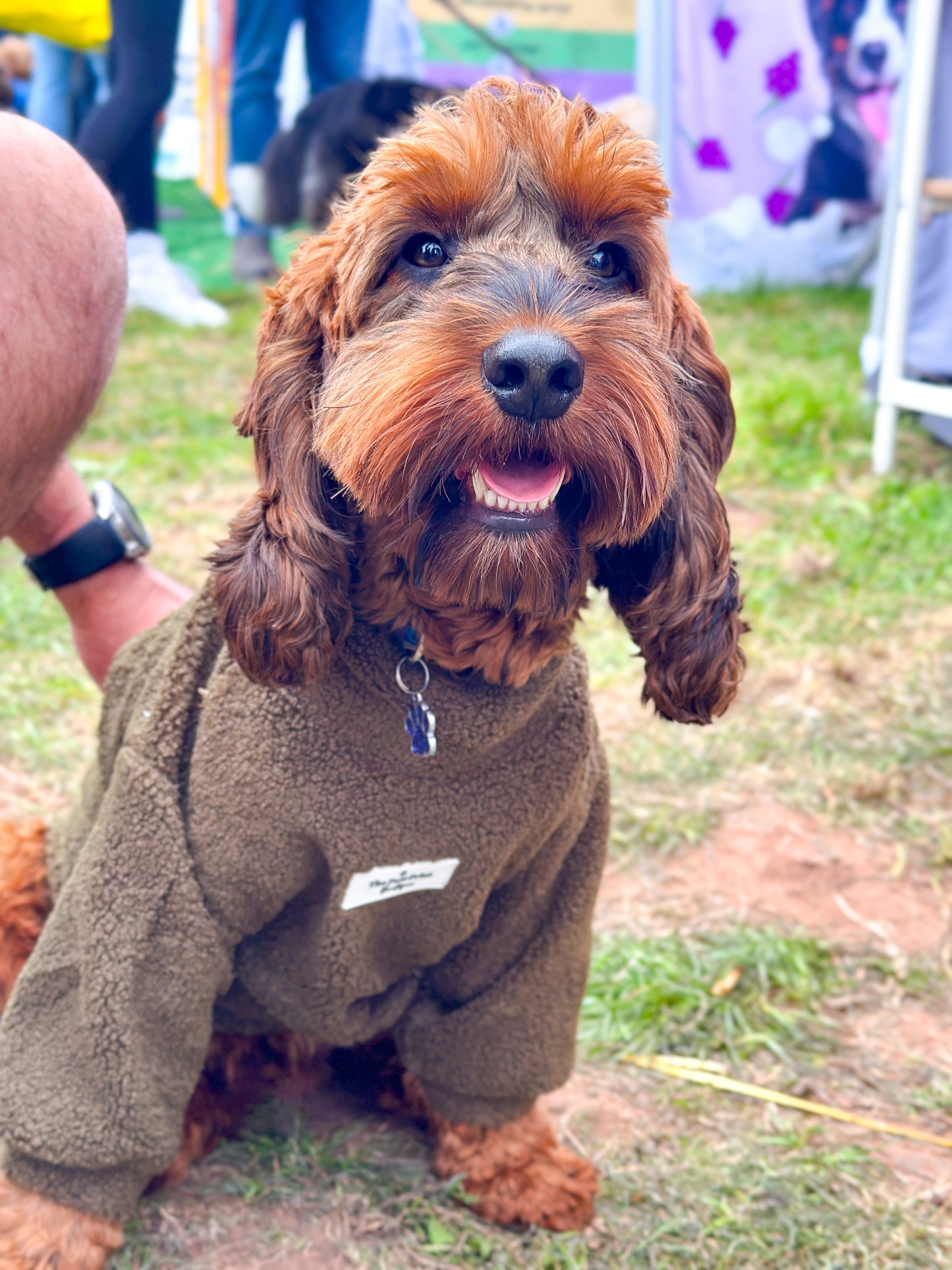 Teddy Fleece - Khaki