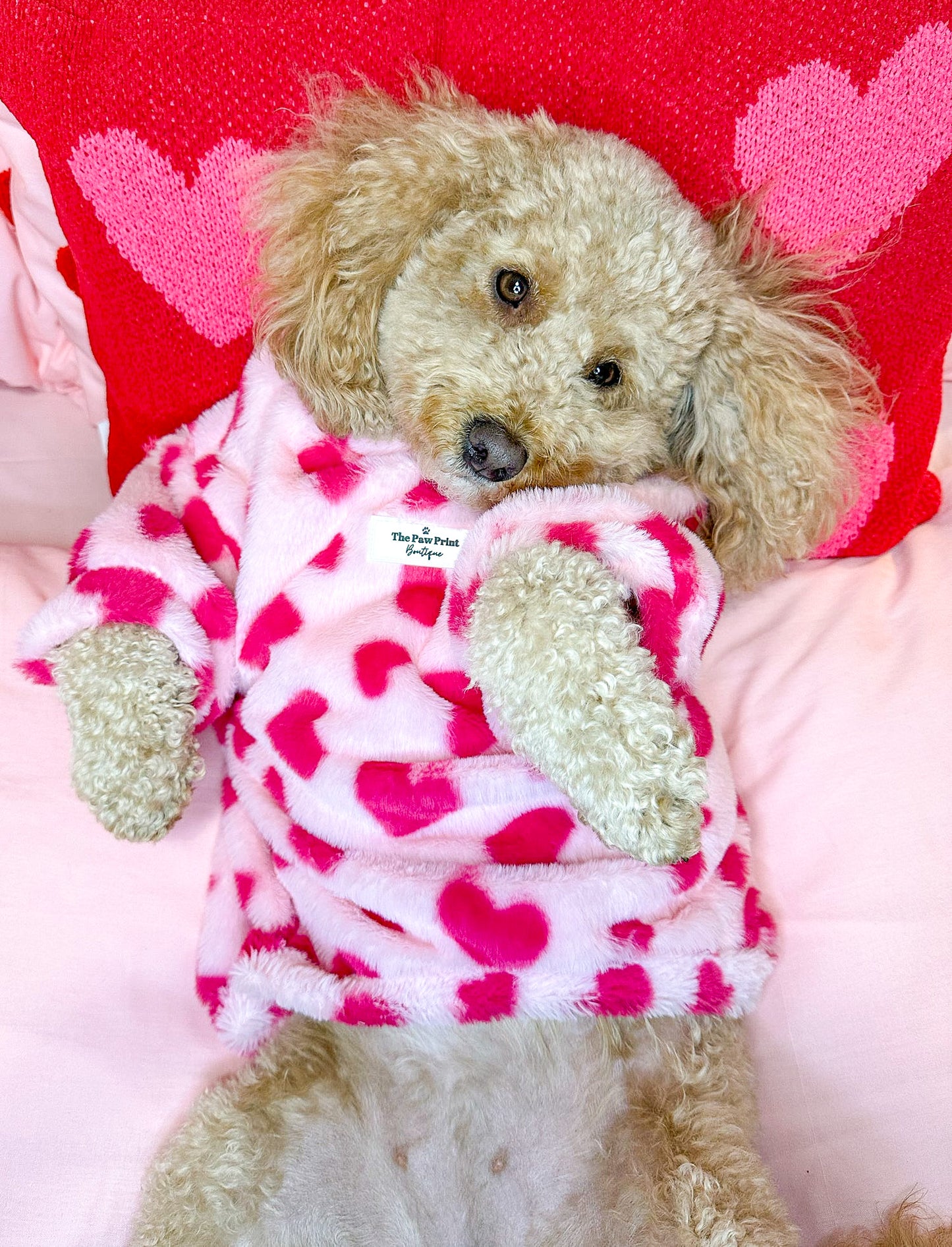 The Love Hearts Fluffy & Fabulous Fleece