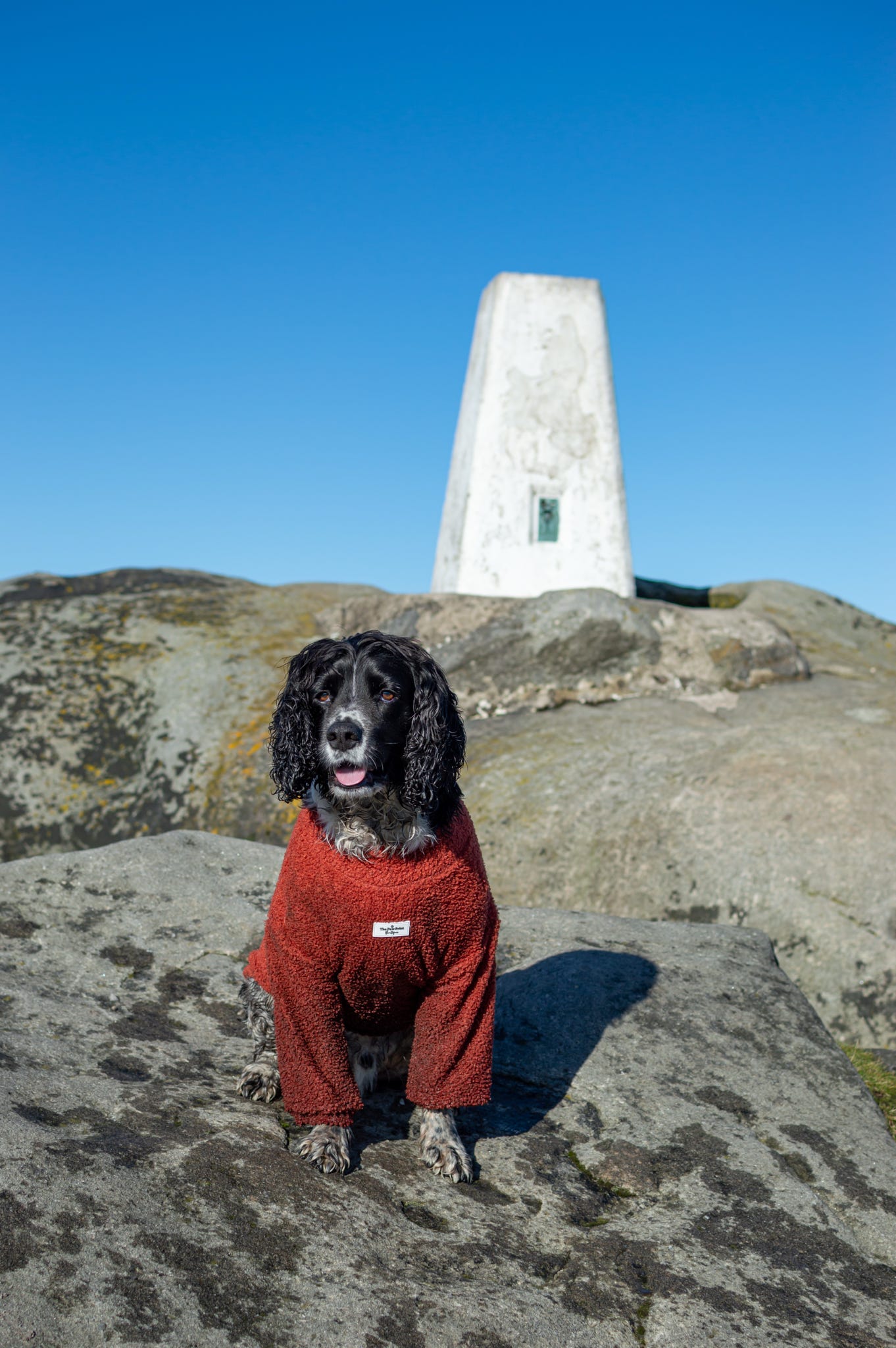 Teddy Fleece - Burnt Orange