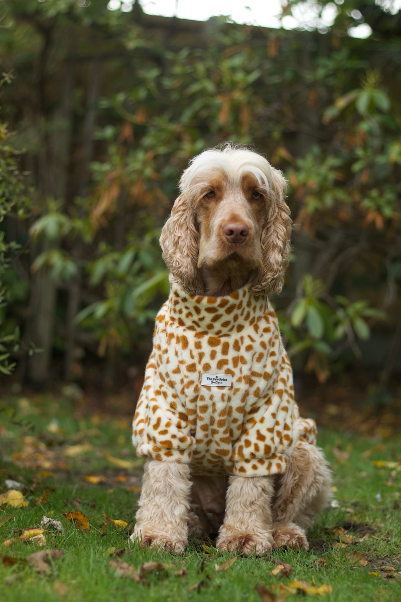 The Giraffe Print Fluffy & Fabulous Fleece