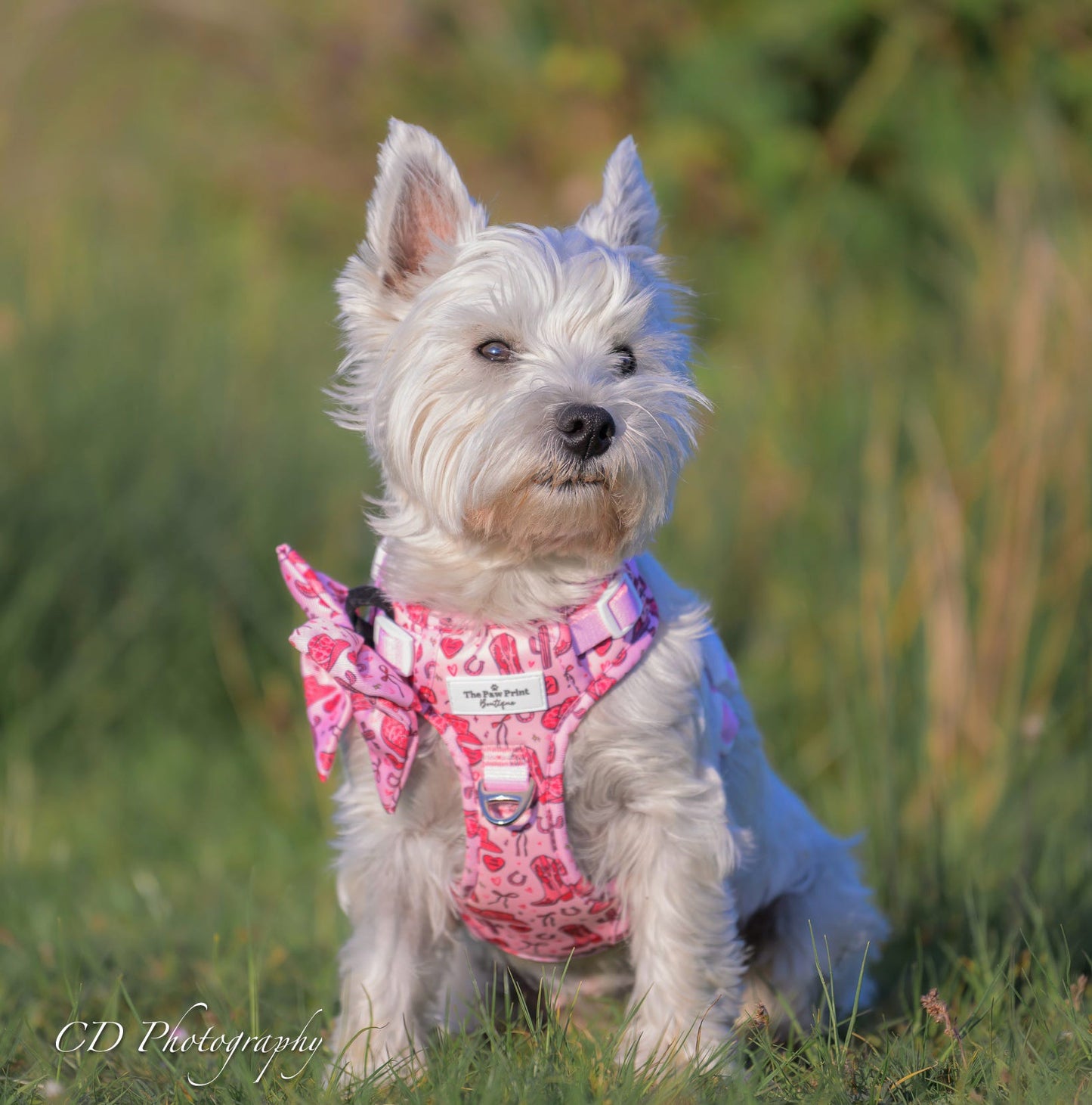 The Giddy up Pup Bow Tie