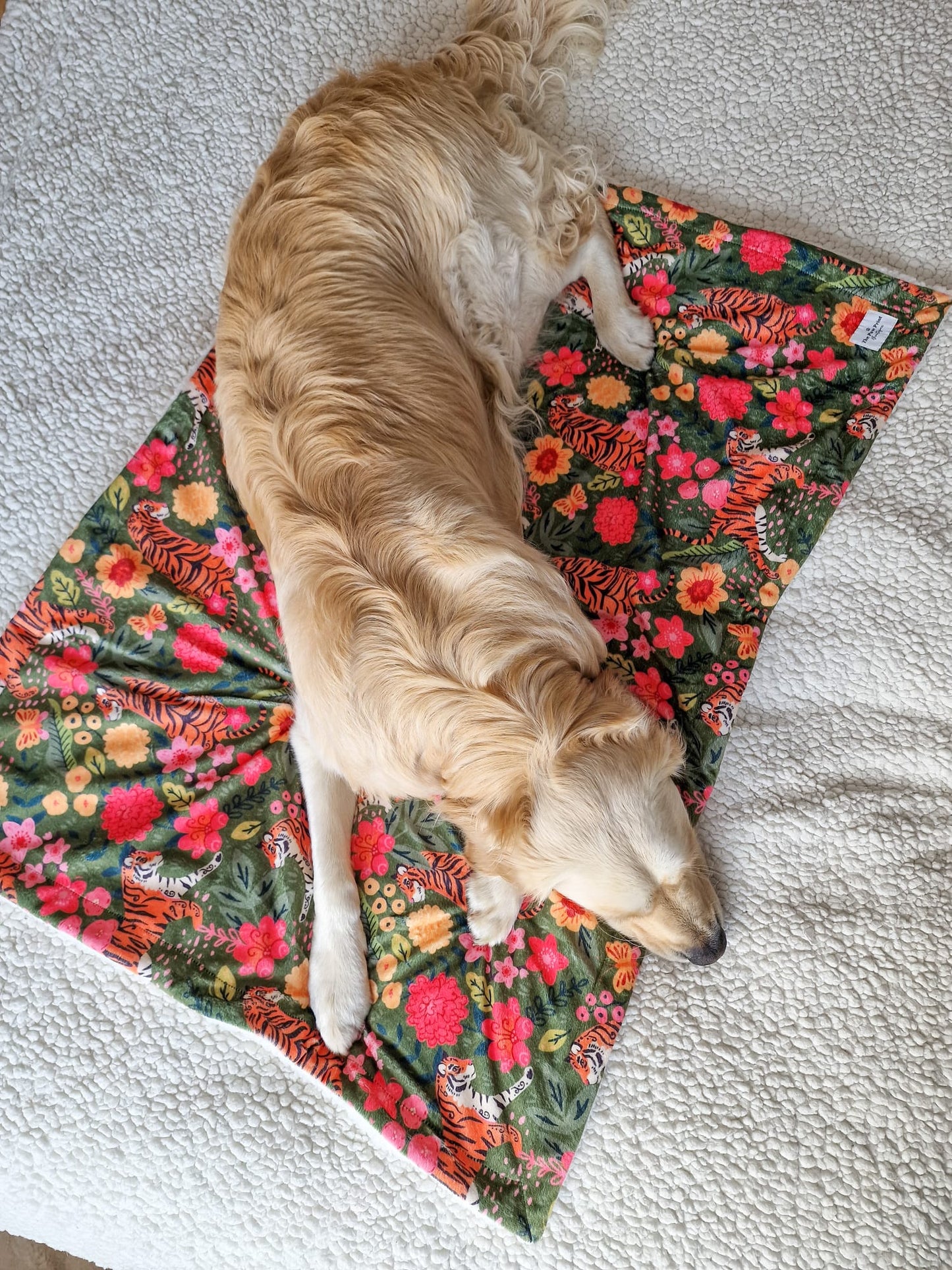The Tiger who came to TPPB Dog Blanket