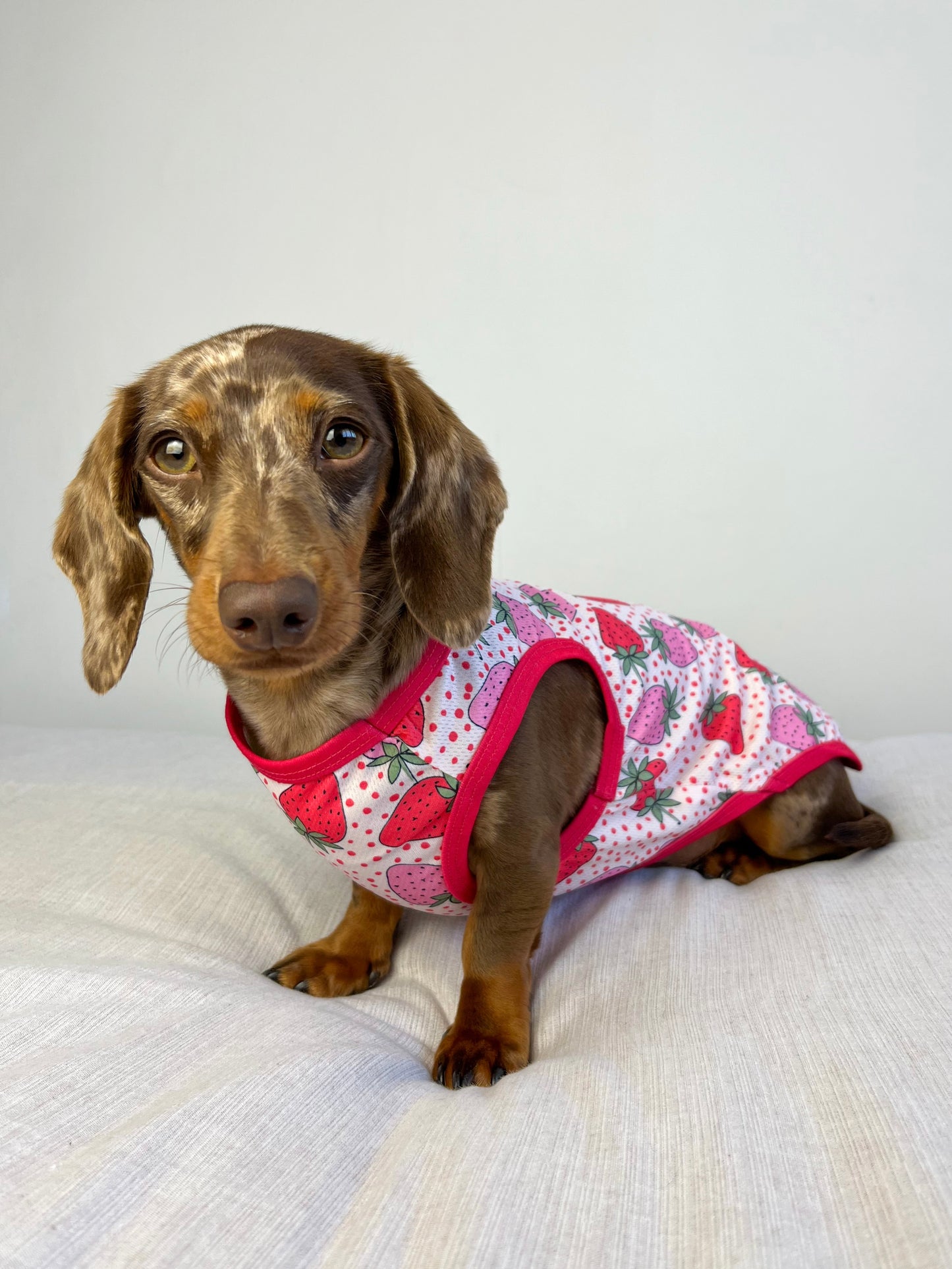 The Sweet Strawberries Cooling Vest