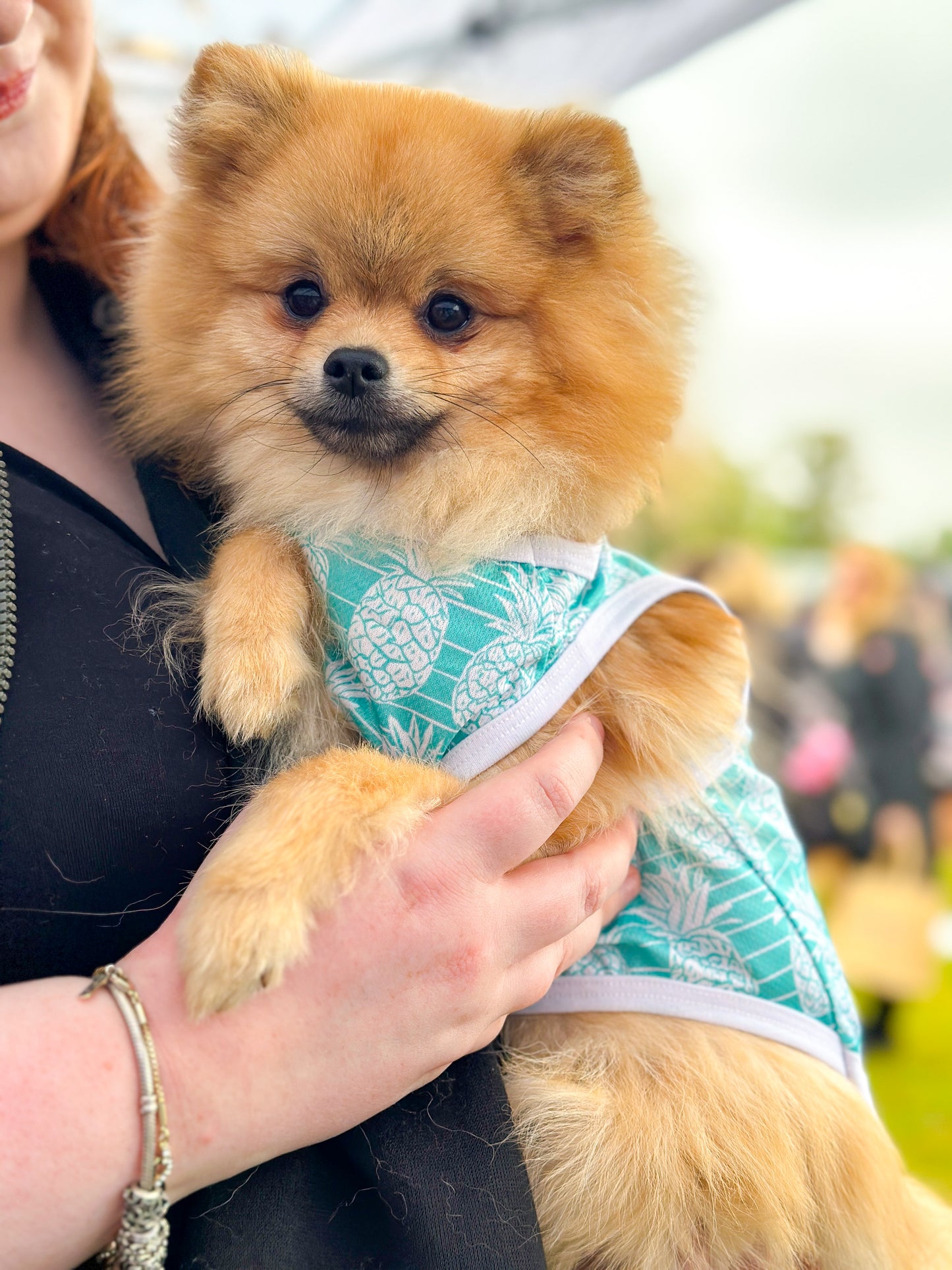 The Pineapple Pawty Cooling Vest