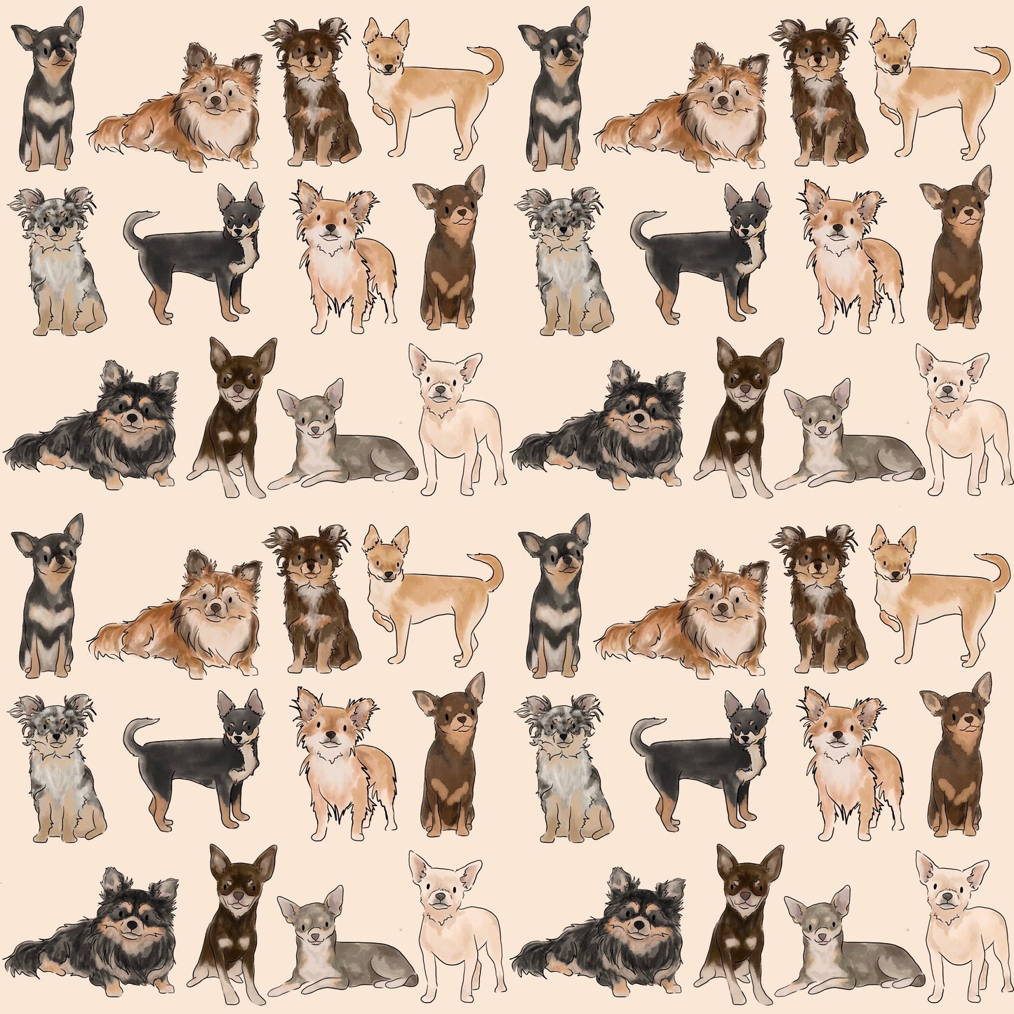 The Chihuahua Human Blanket