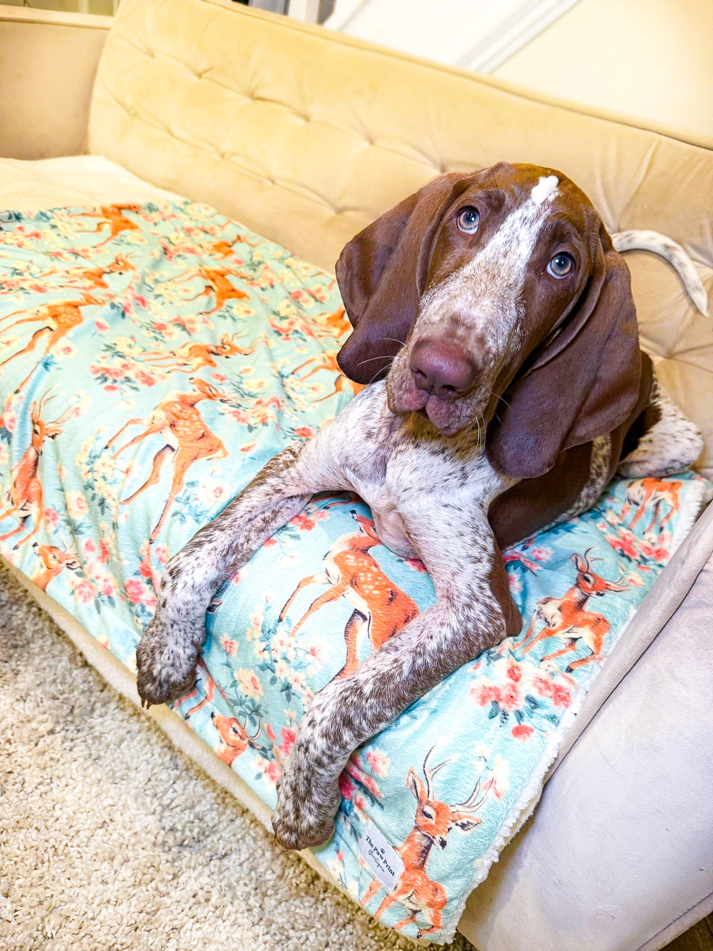 Bambi in Bloom Dog Blanket
