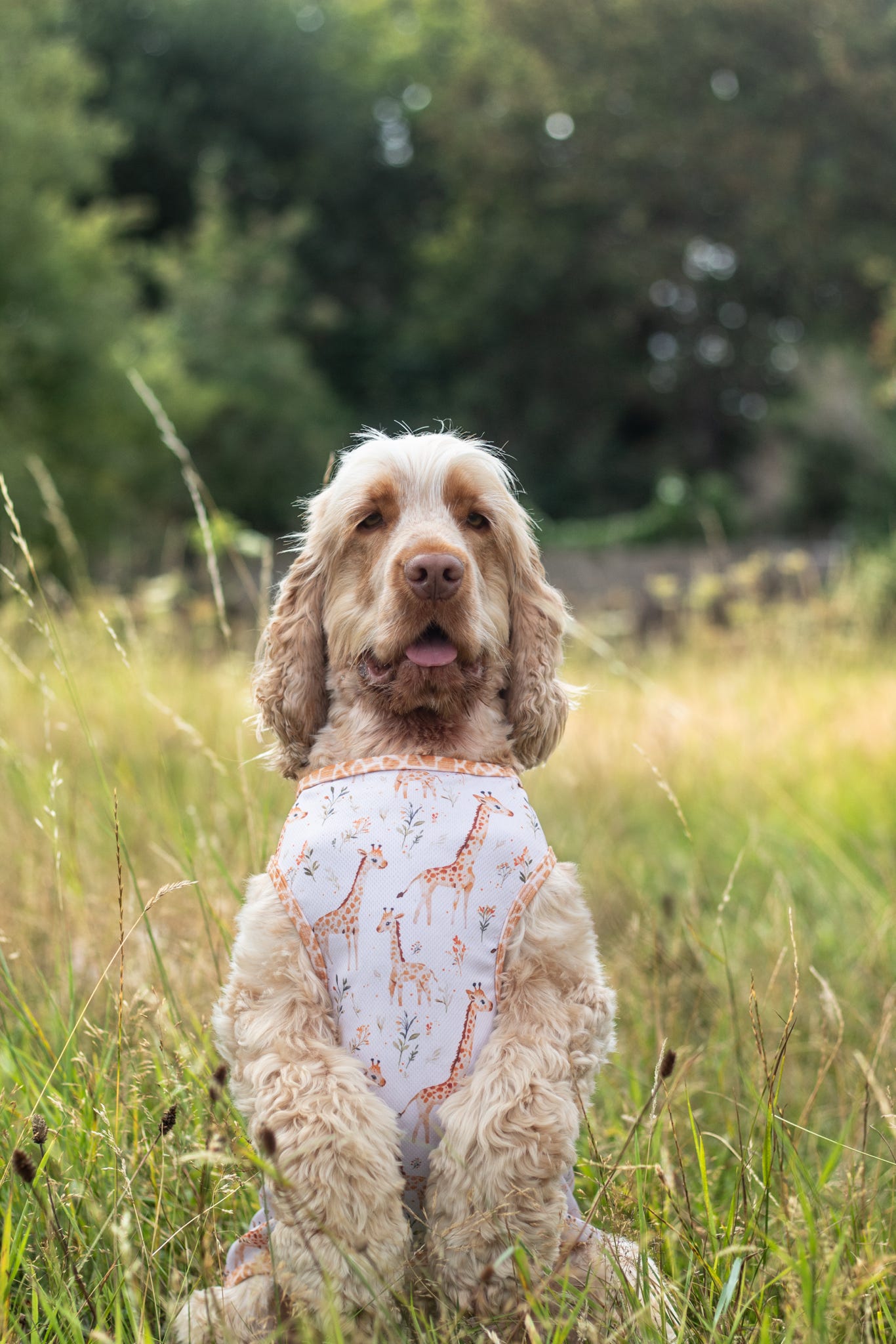 The Graceful Giraffe Cooling Vest
