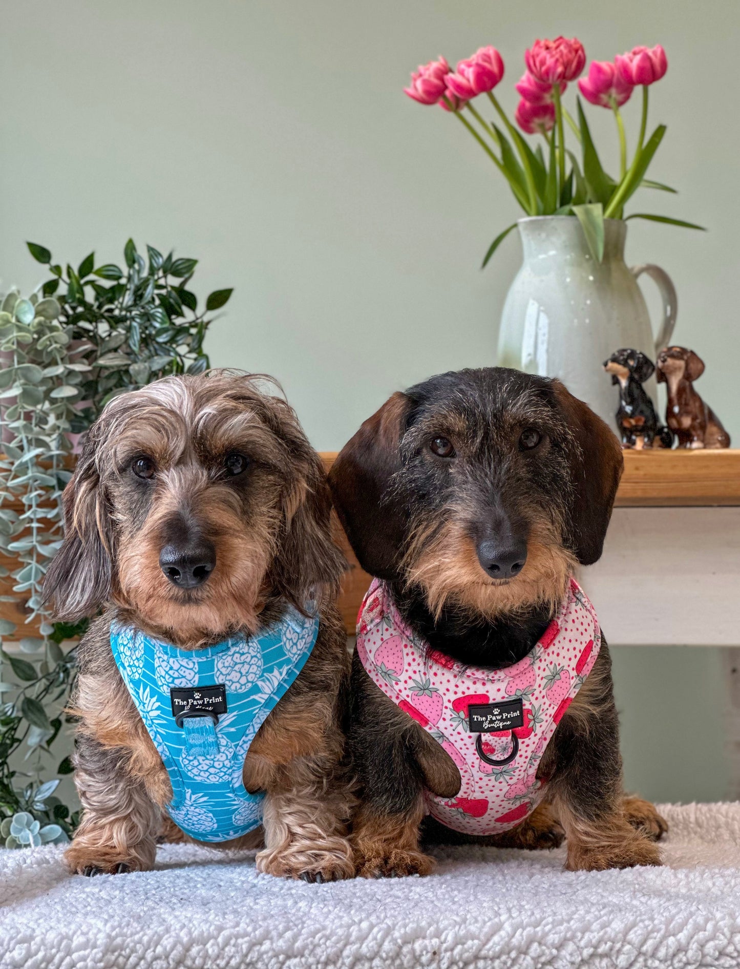 The Pineapple Pawty Adjustable Harness