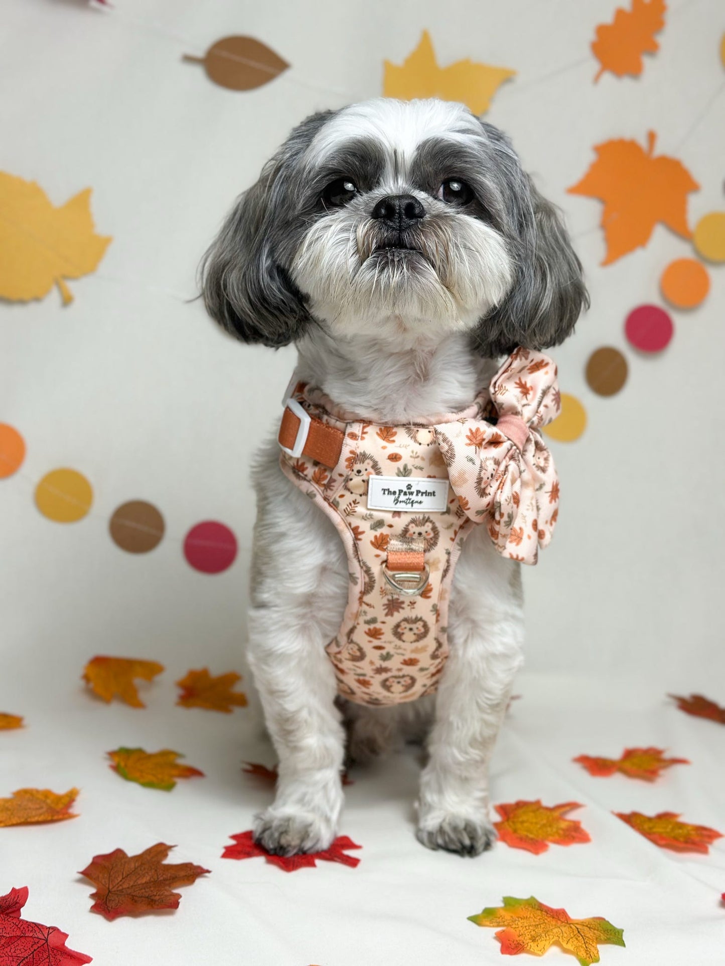 Spike the Hedgehog Adventure Paws Harness