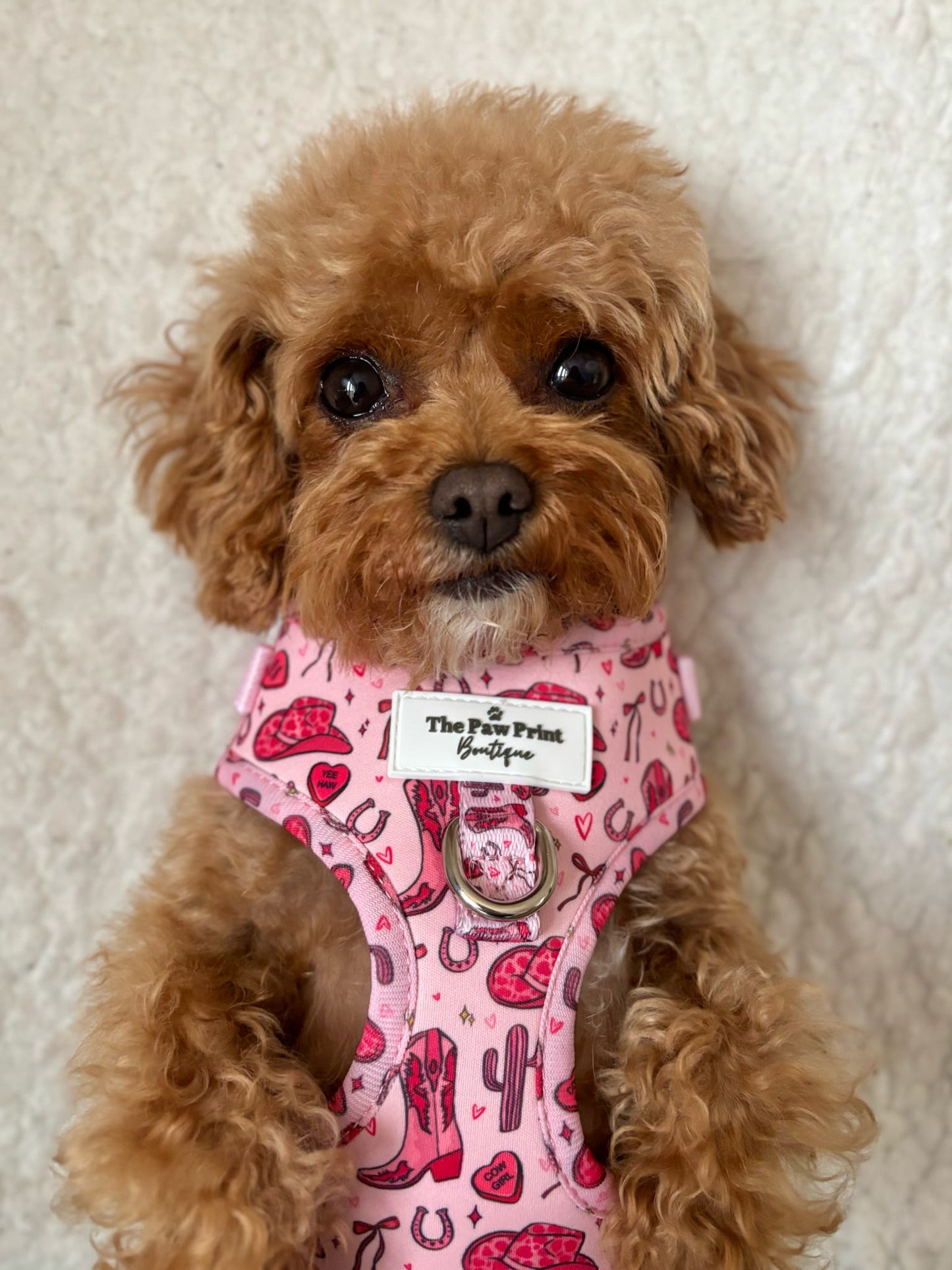 The Giddy up Pup Adjustable Harness
