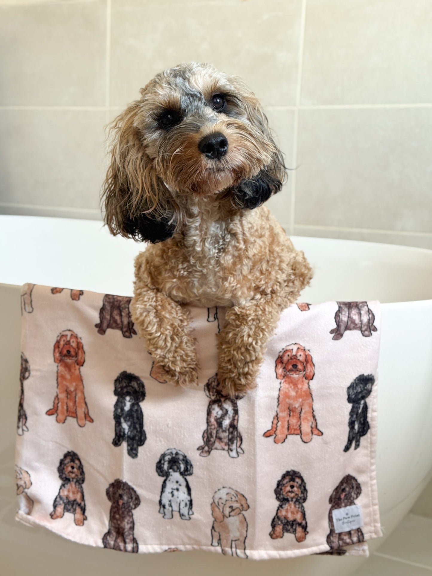 The Oodles & Doodles Dog Towel