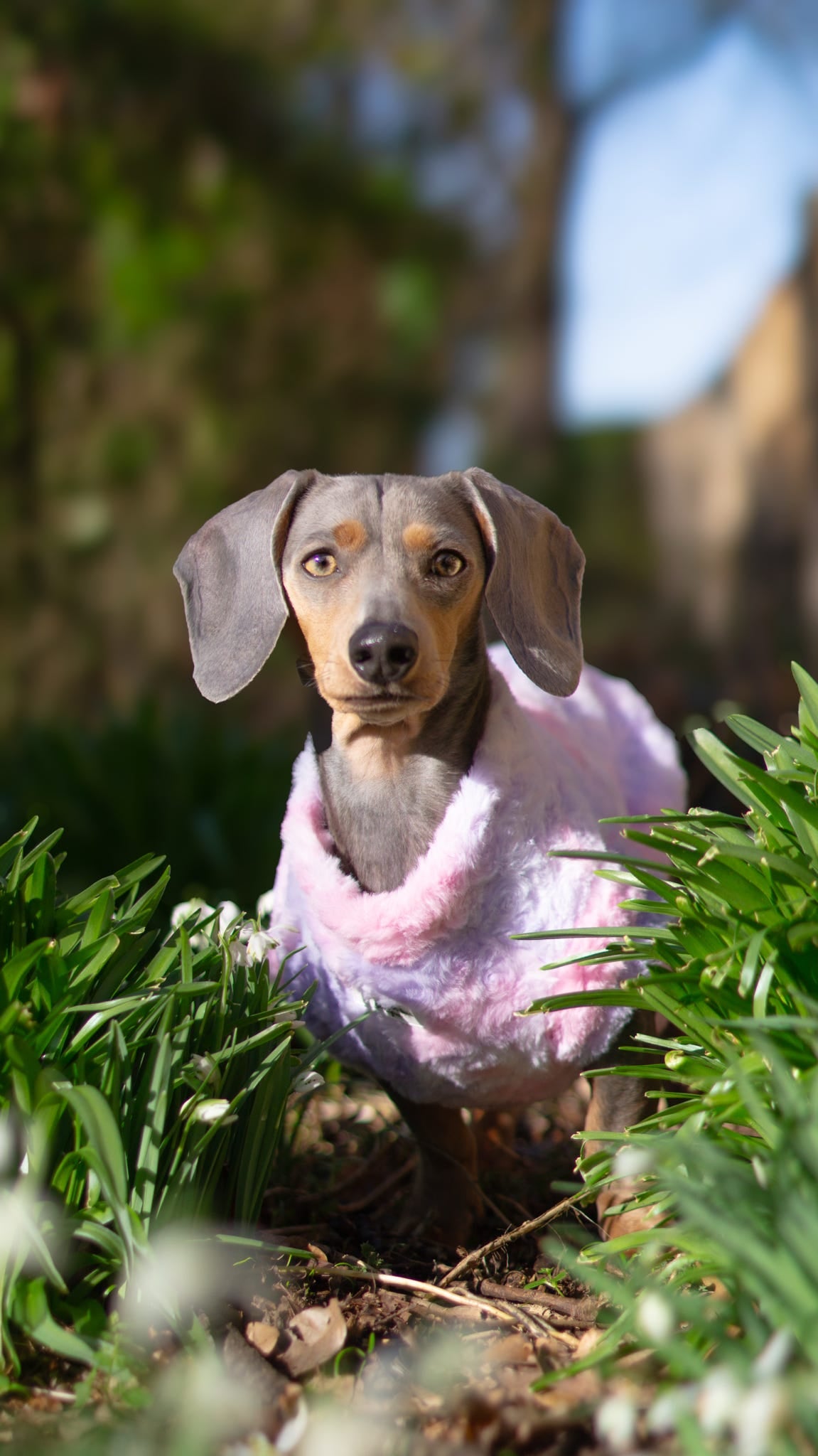 Unicorn Dreams Tie Dye Fleece