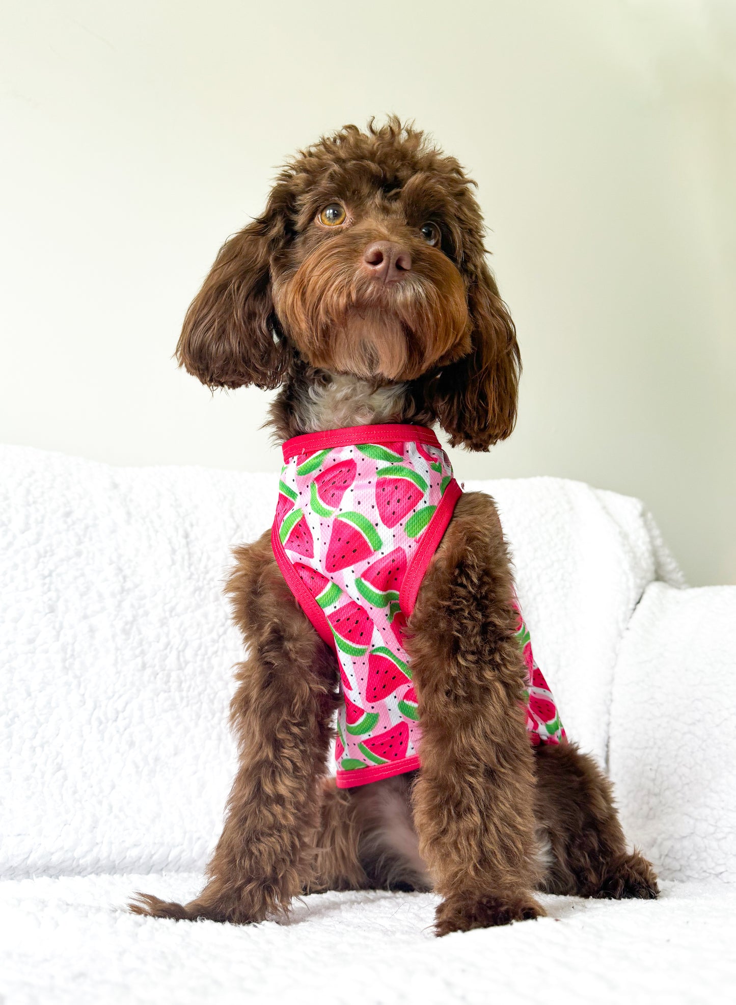 The Watermelon Sugar Cooling Vest