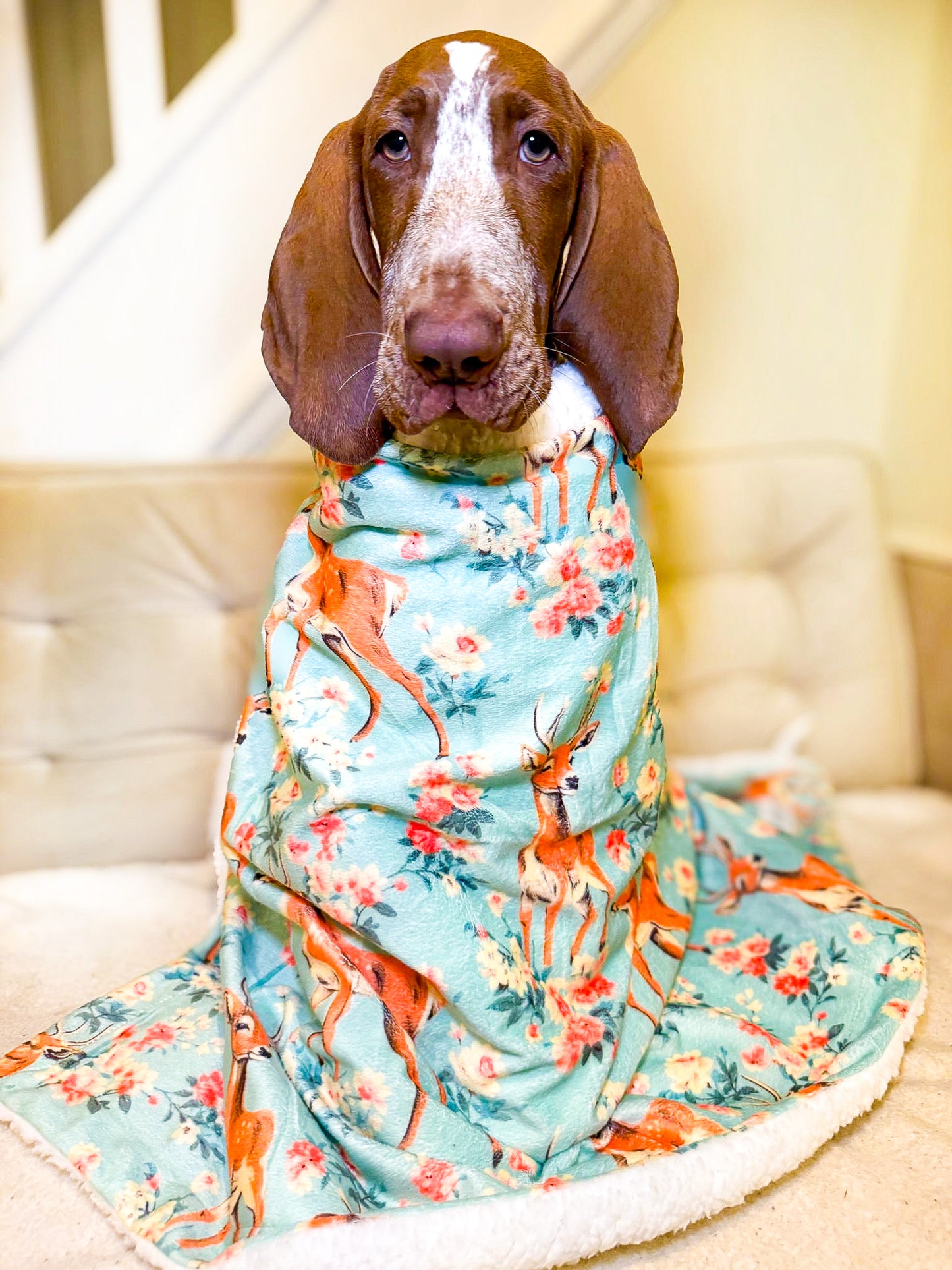 Bambi in Bloom Dog Blanket