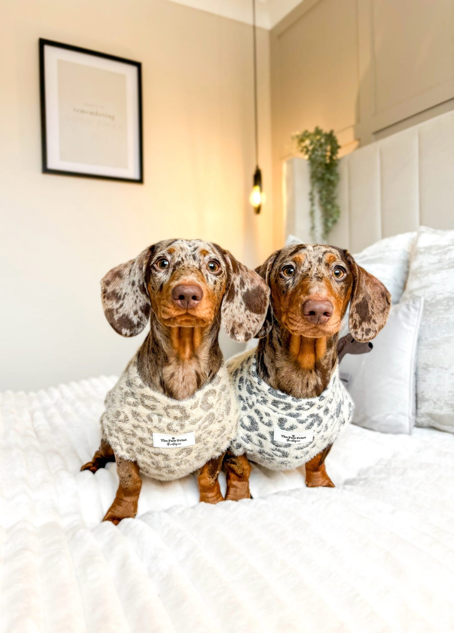 The Gold & Glittery Leopard Print Teddy Fleece