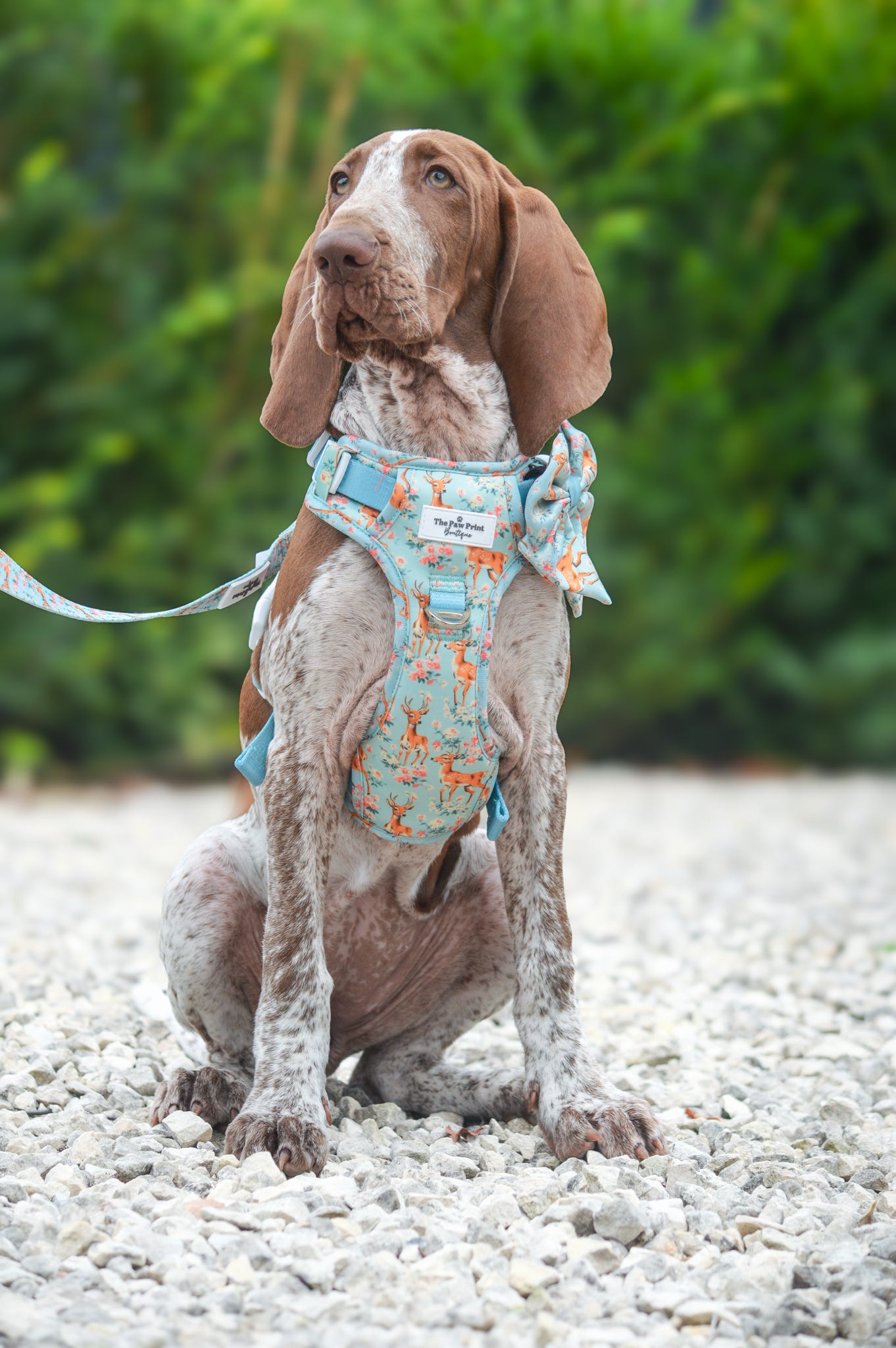 Bambi in Bloom Bow Tie