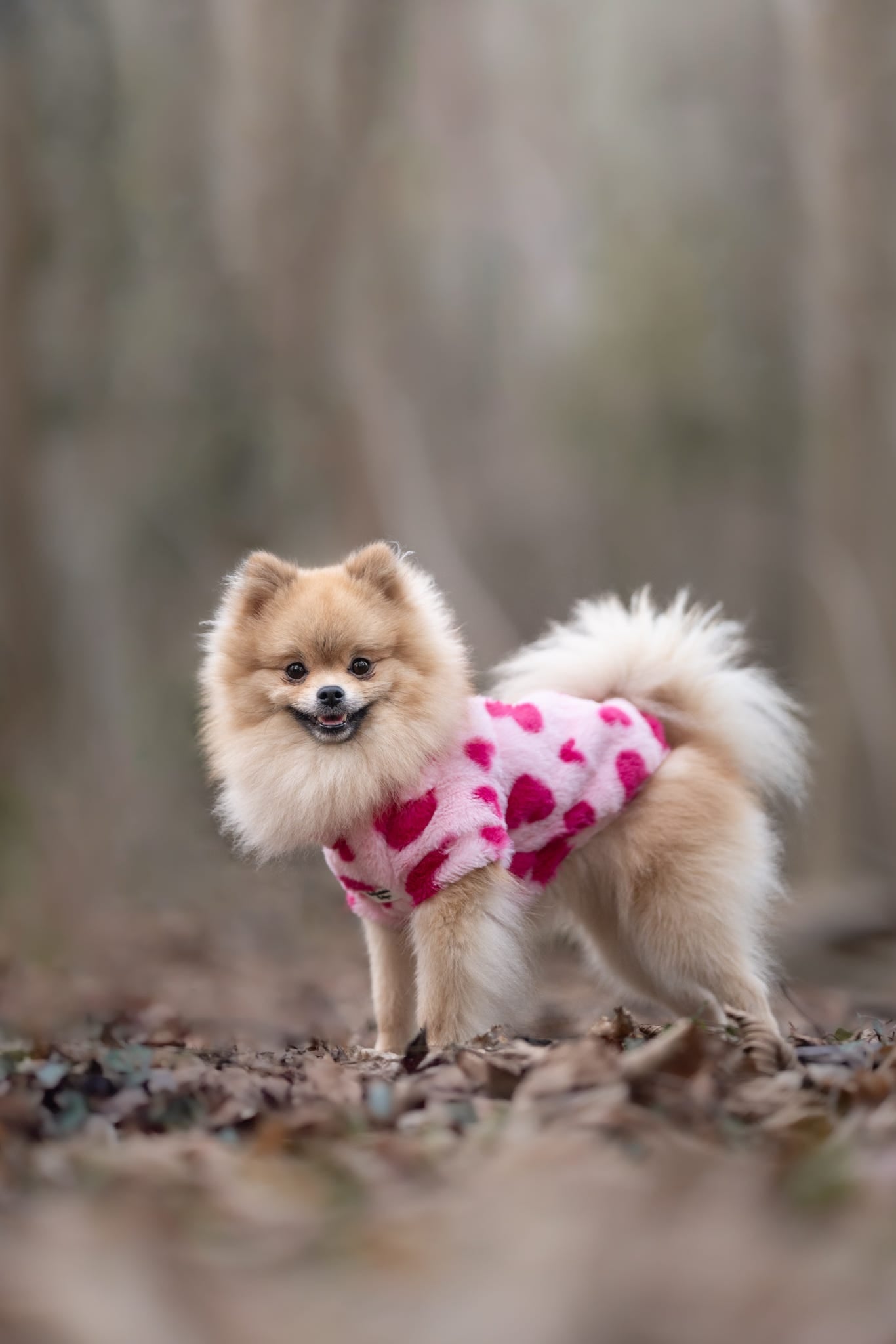 The Love Hearts Fluffy & Fabulous Fleece