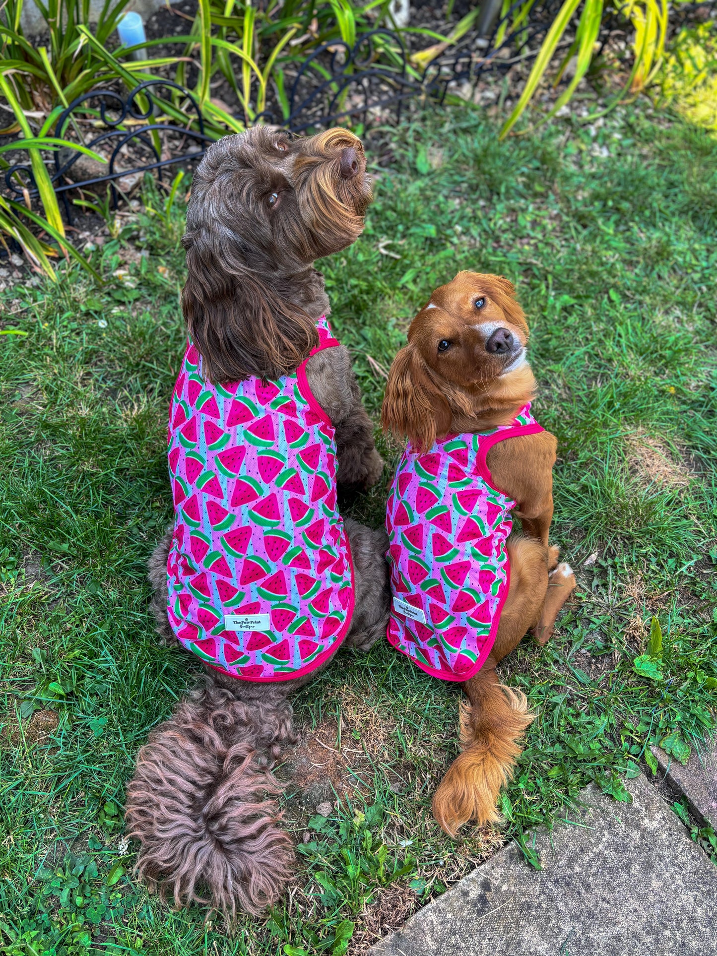The Watermelon Sugar Cooling Vest