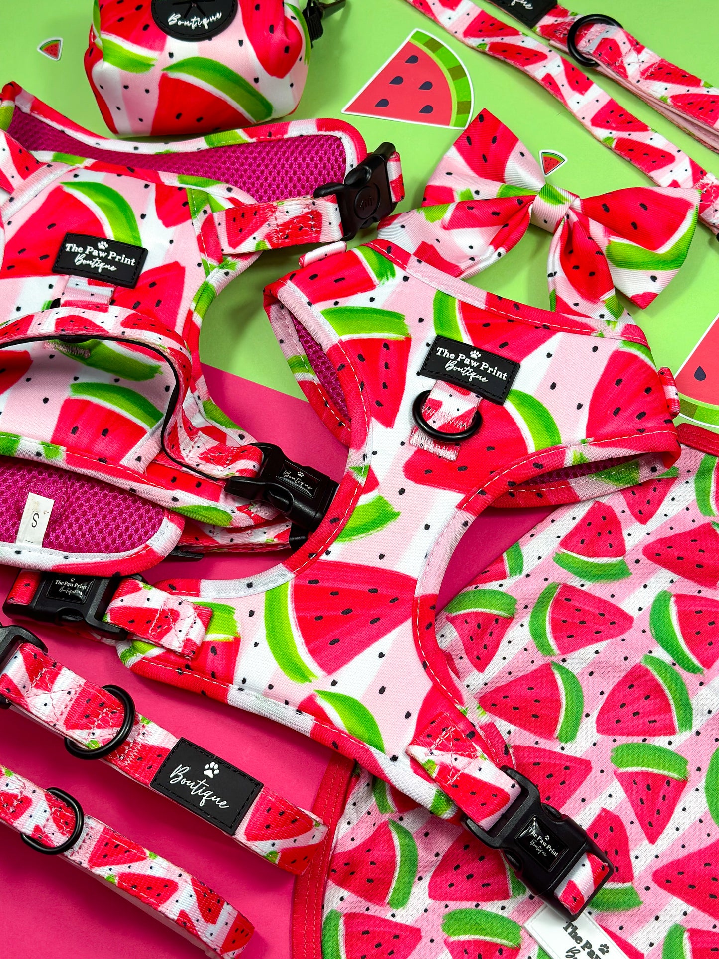The Watermelon Sugar Adventure Paws Harness