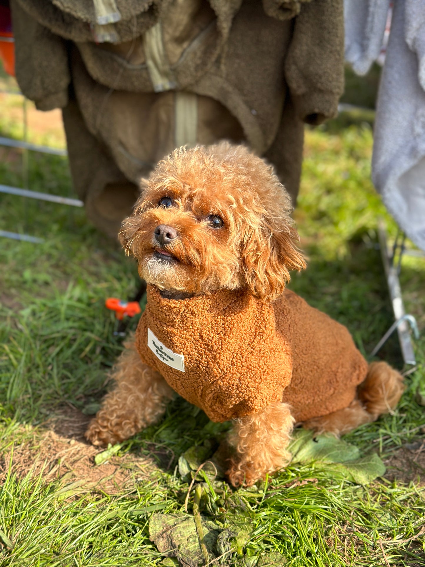 The Gingerbread Teddy Fleece