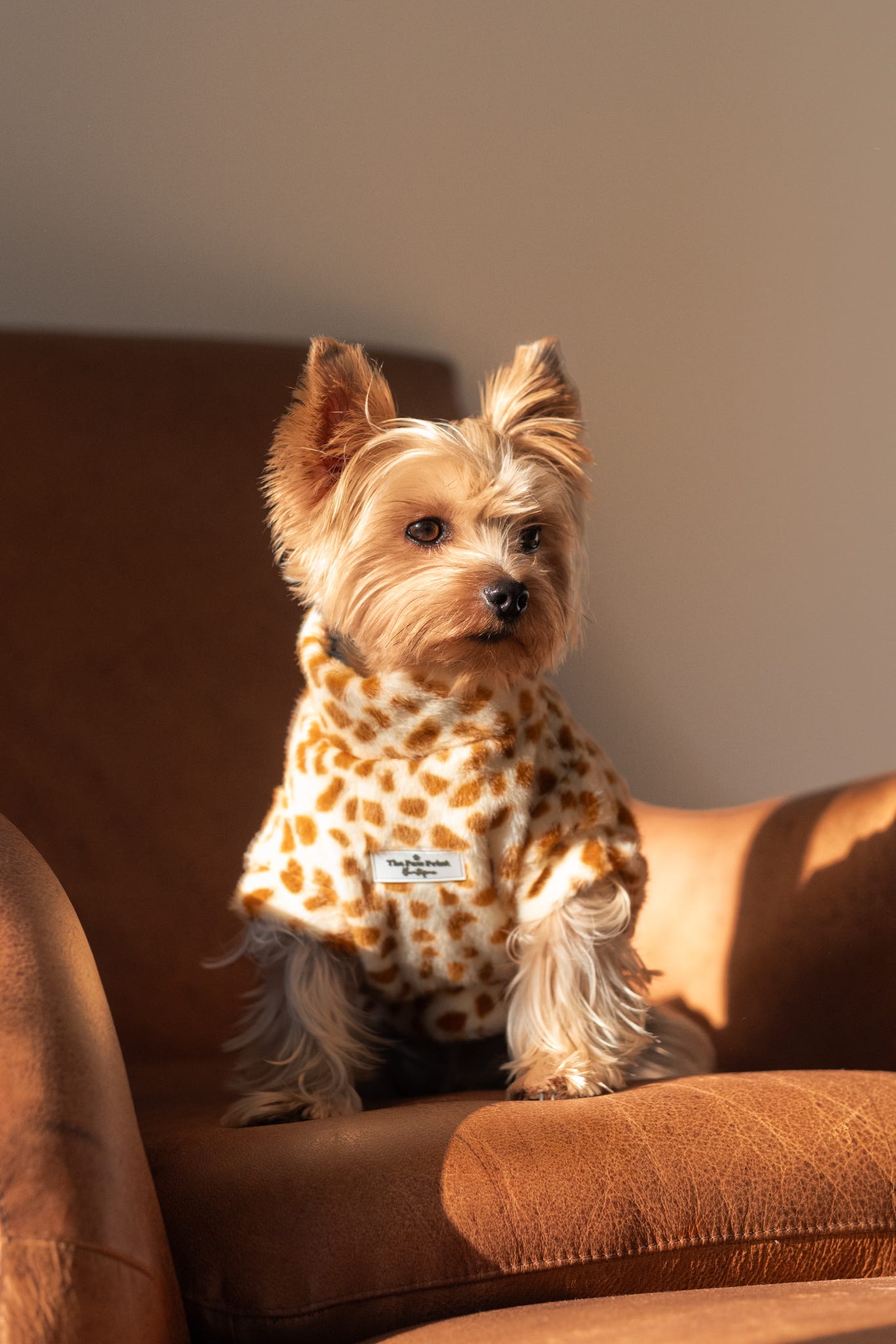 The Giraffe Print Fluffy & Fabulous Fleece