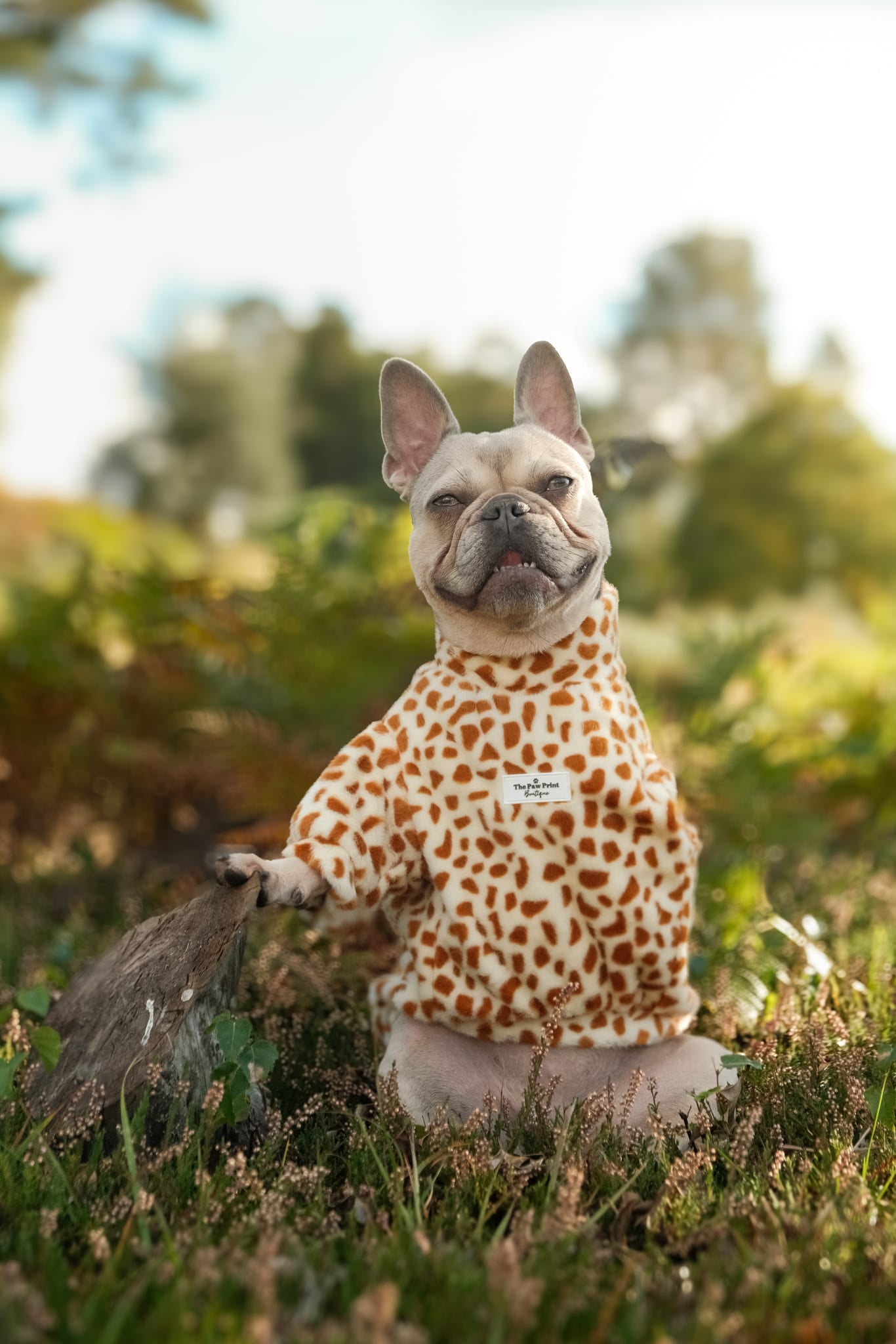 The Giraffe Print Fluffy & Fabulous Fleece
