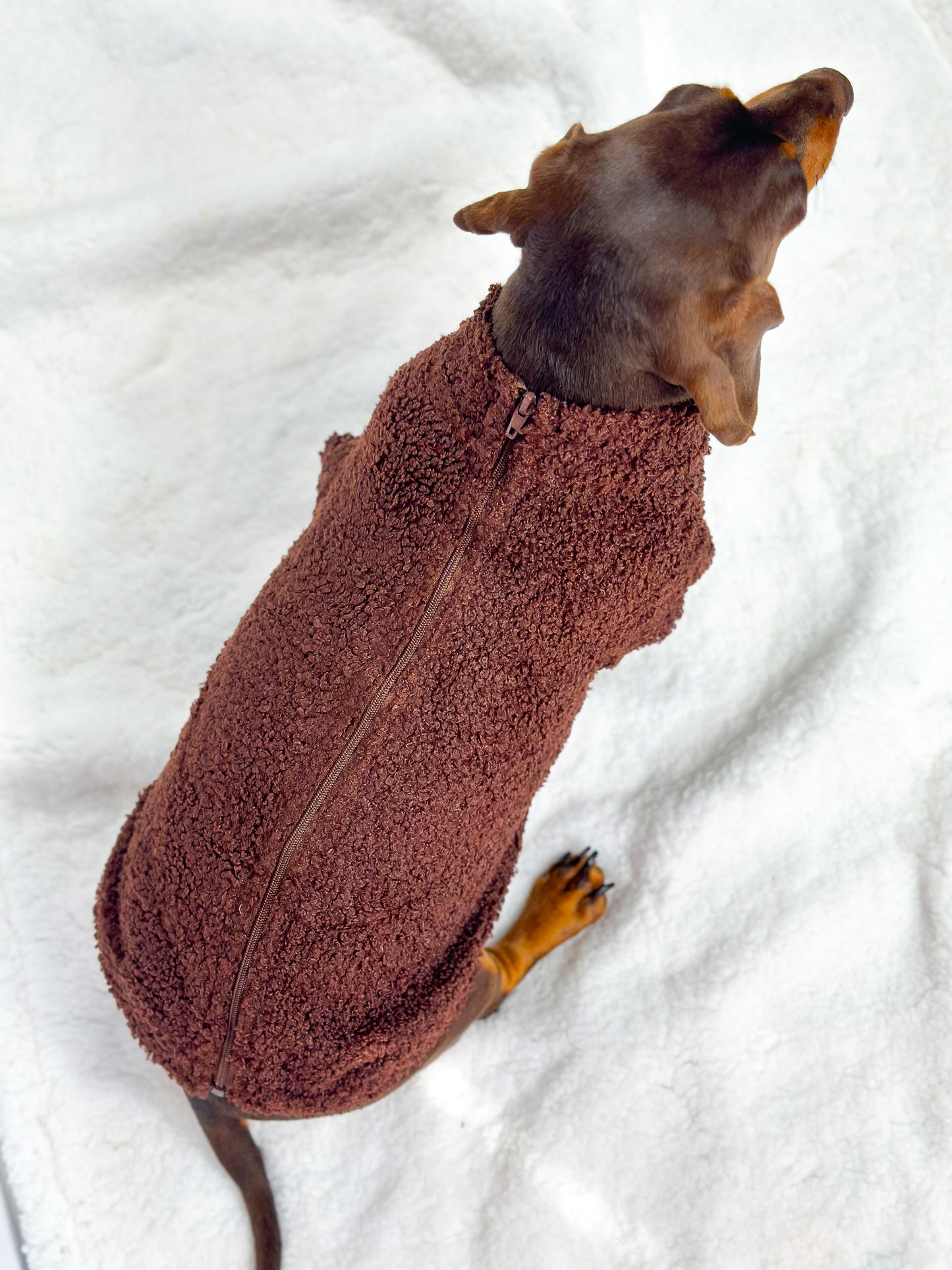 Teddy Fleece - Chocolate