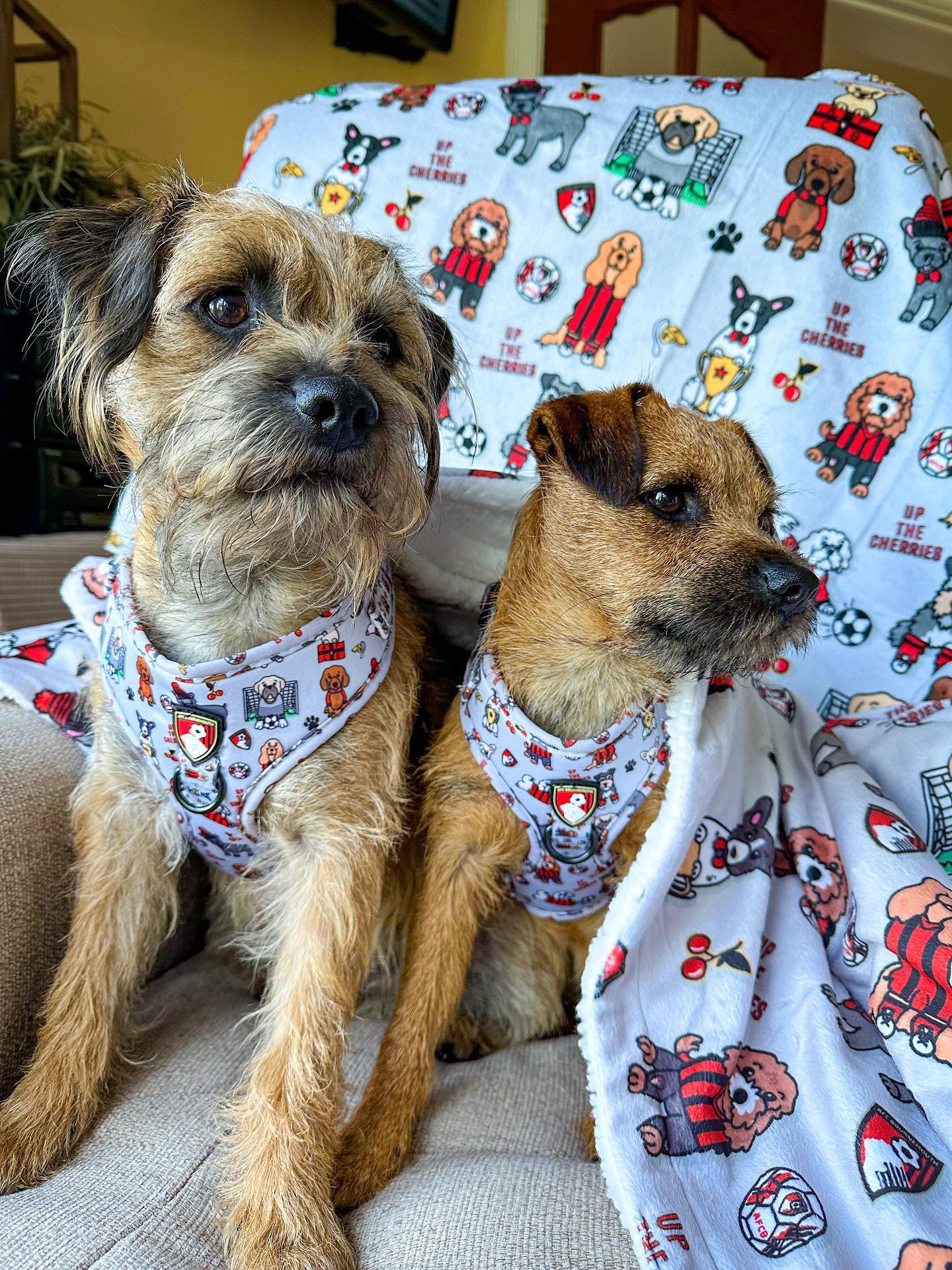 The AFC Bournemouth Adjustable Harness