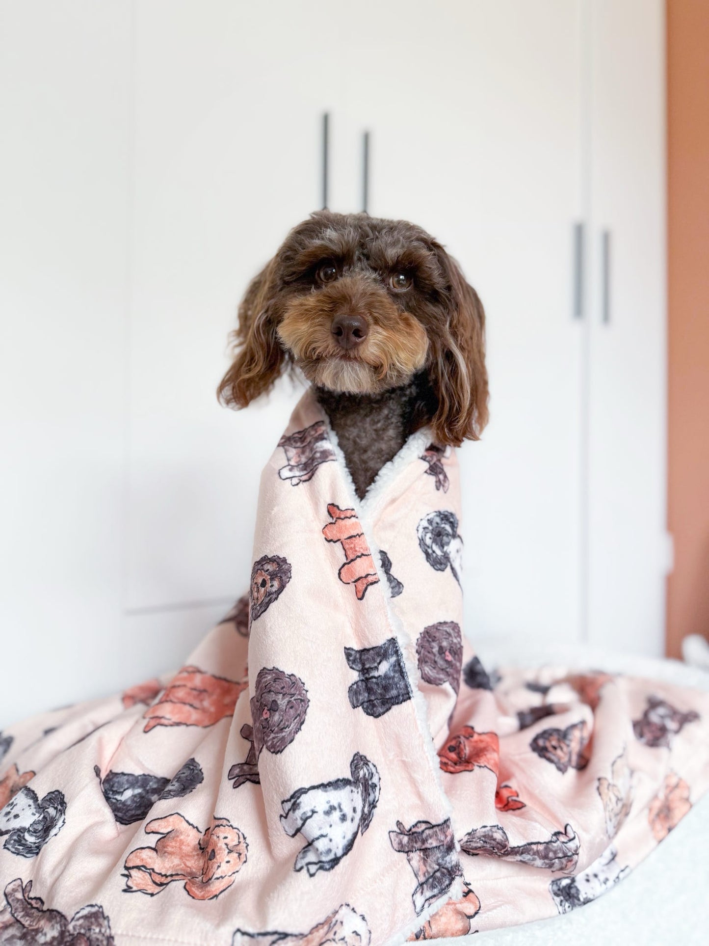 The Oodles & Doodles Dog Blanket
