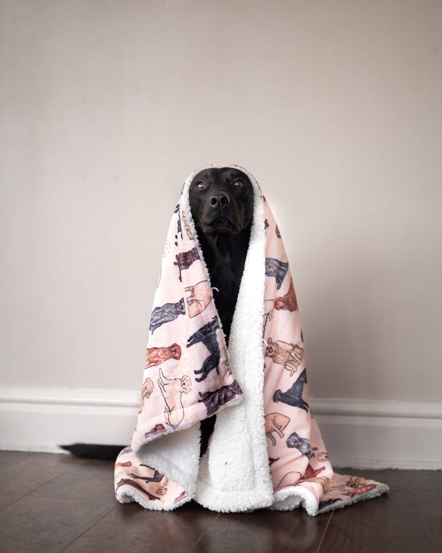 The Labrador / Retriever Dog Blanket