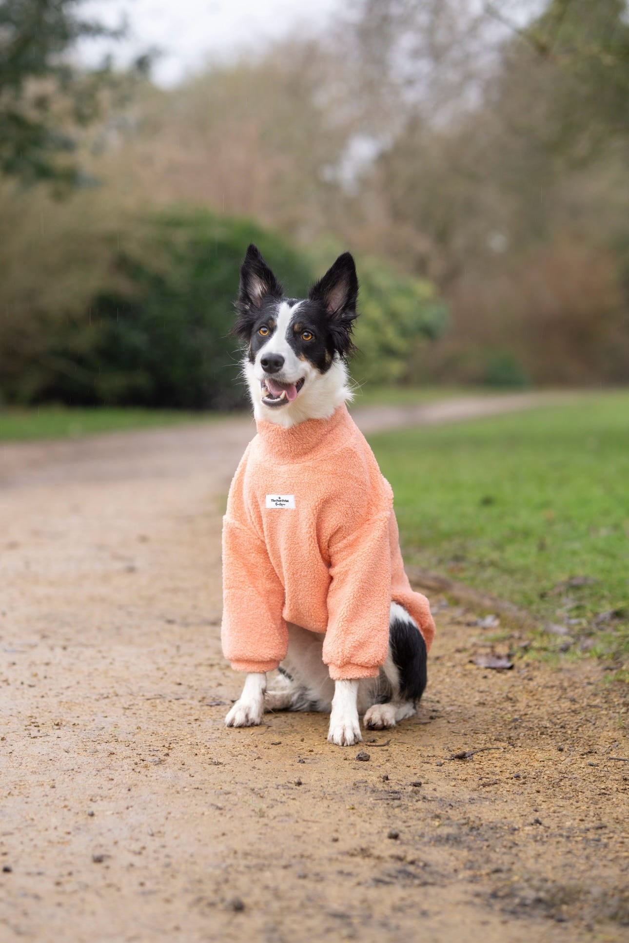 Teddy Fleece - Peach