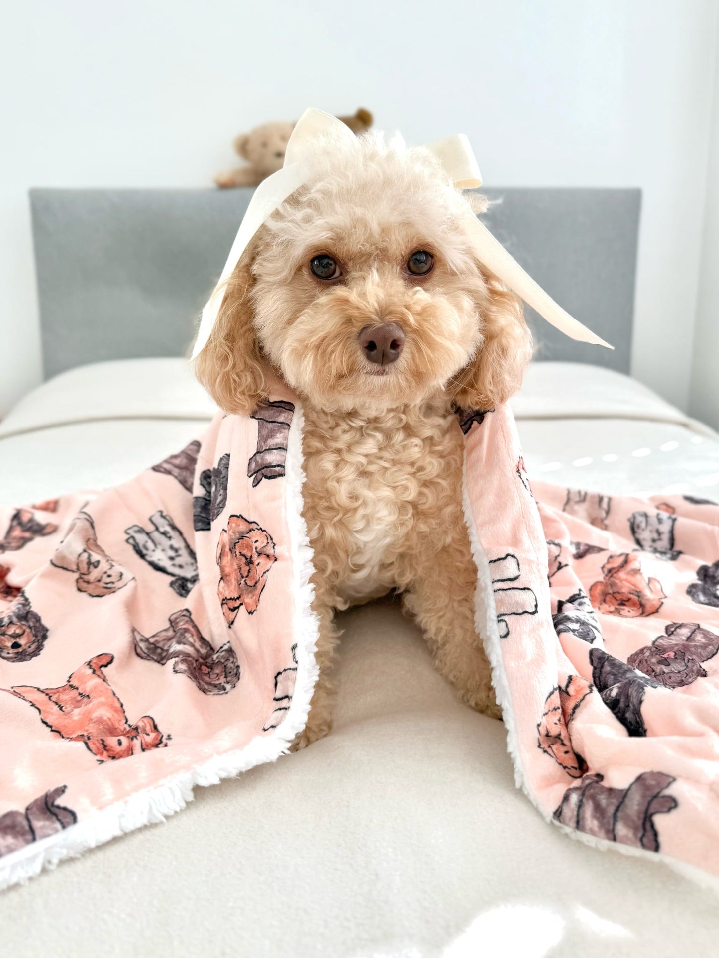 The Oodles & Doodles Dog Blanket