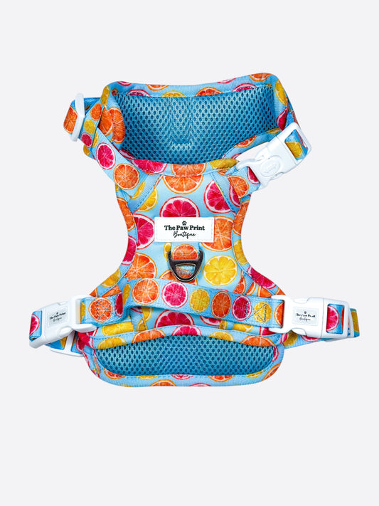 Squeeze the Day Adventure Paws Harness