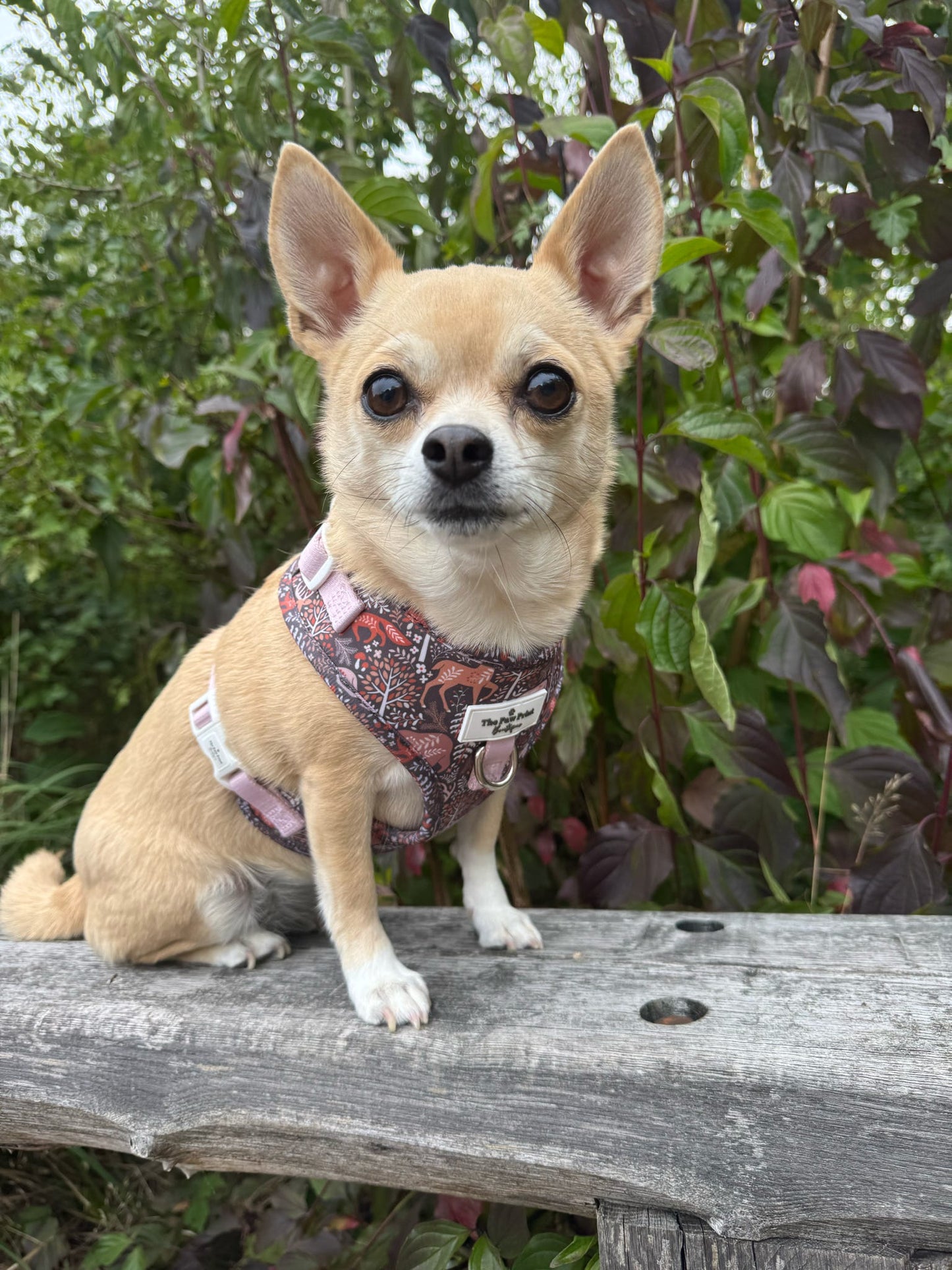 Woodland Wilderness Adjustable Harness