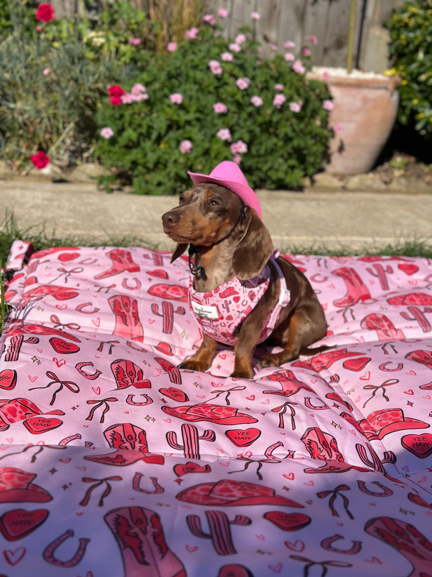 The Giddy up Pup Adjustable Harness