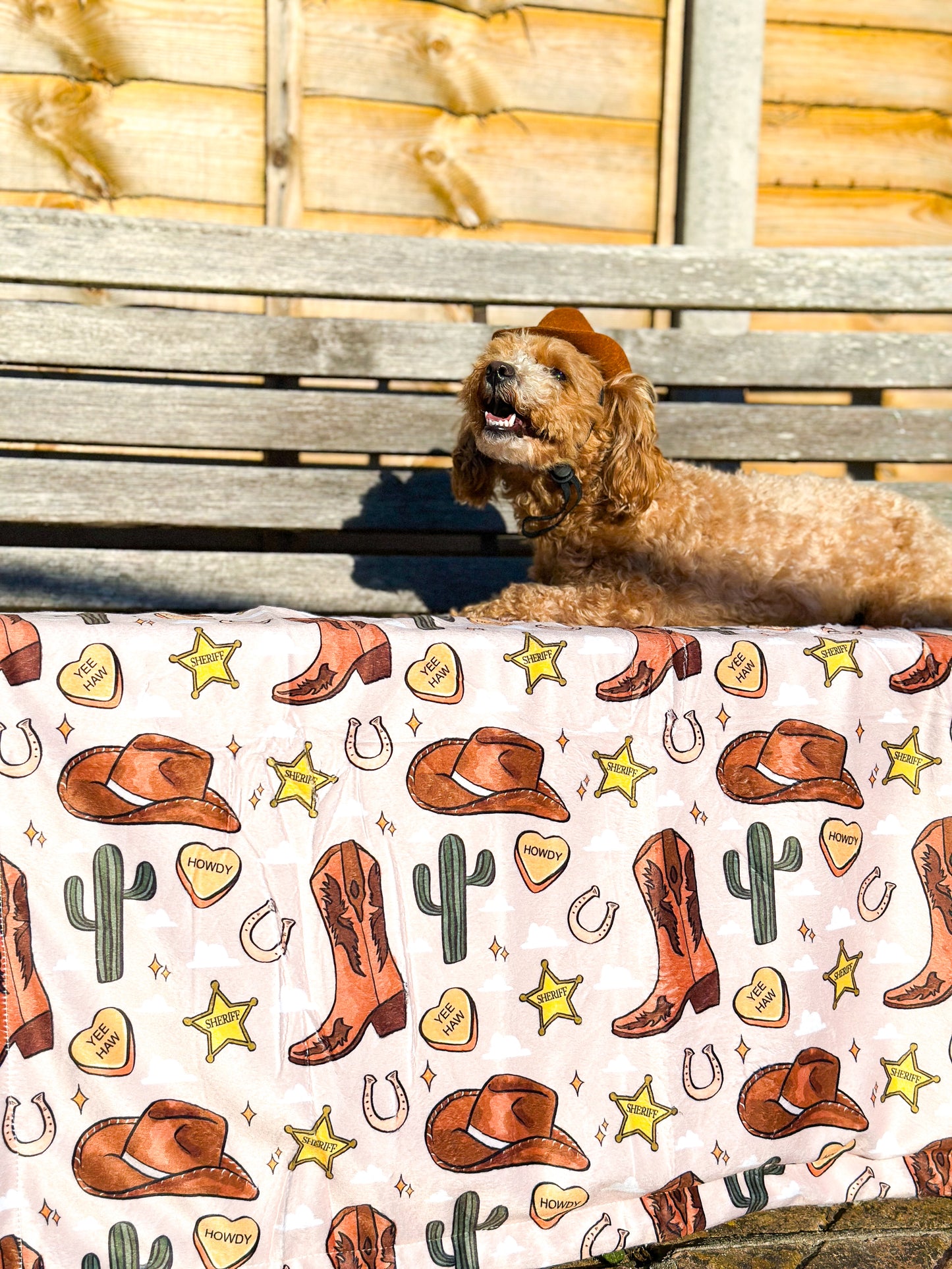The Howdy Pawtner Dog Blanket