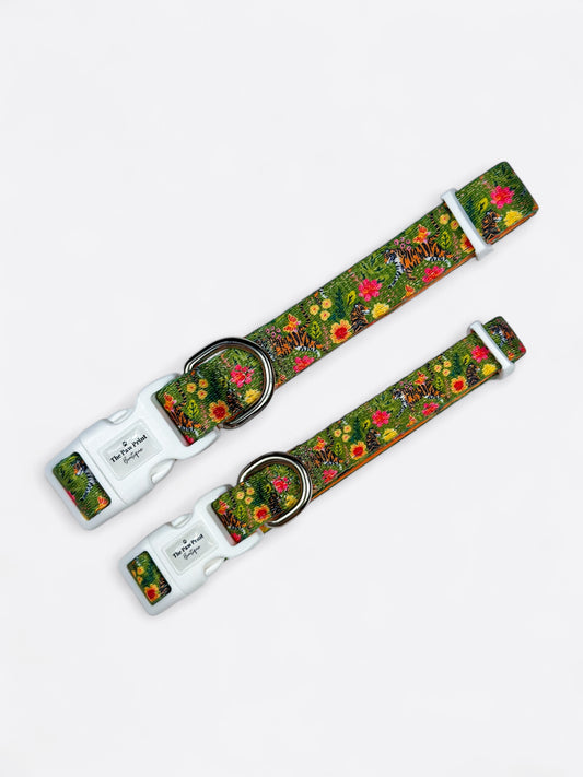 The Tiger who came to TPPB Collar