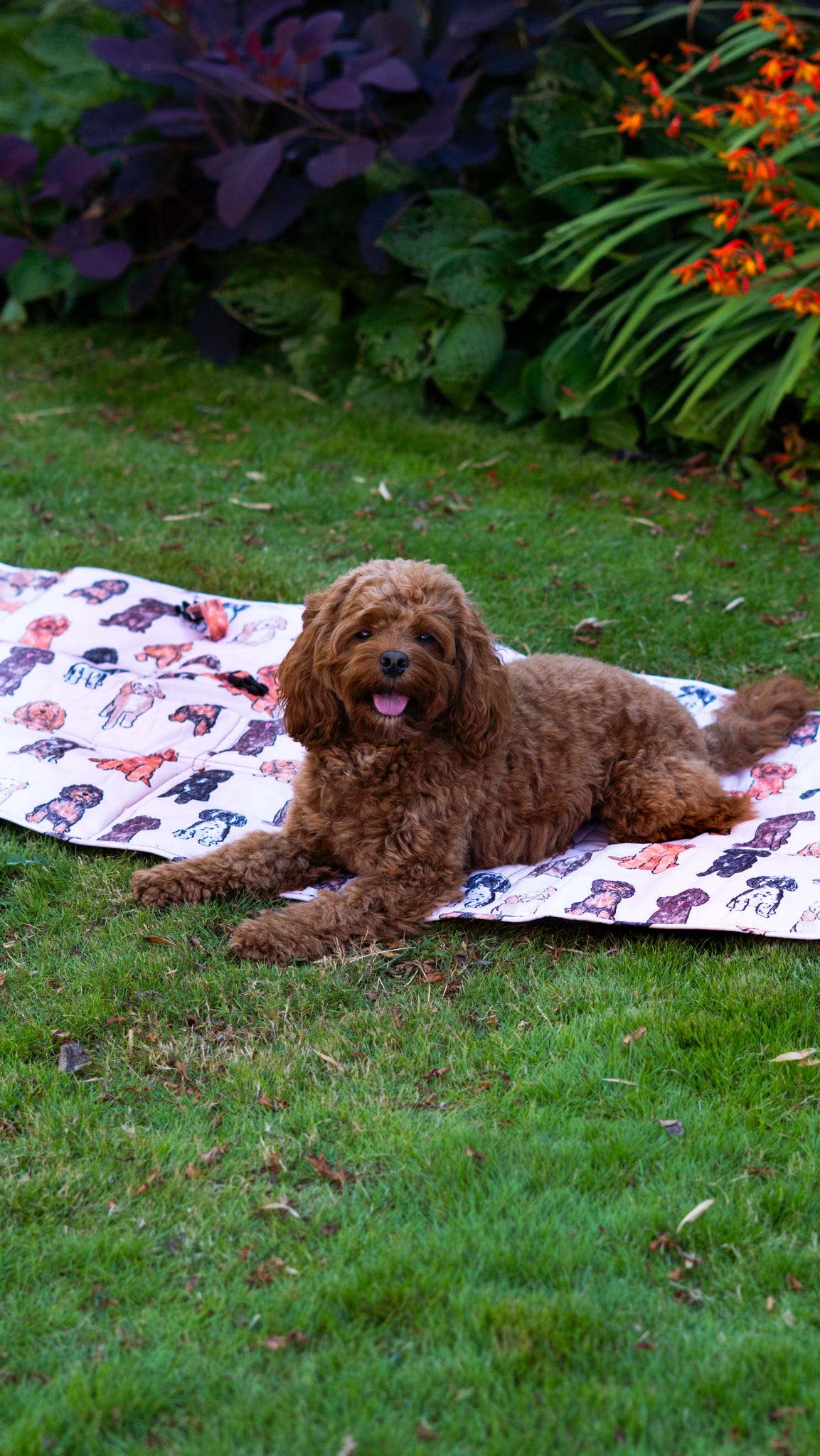 The Oodles & Doodles Travel Mat