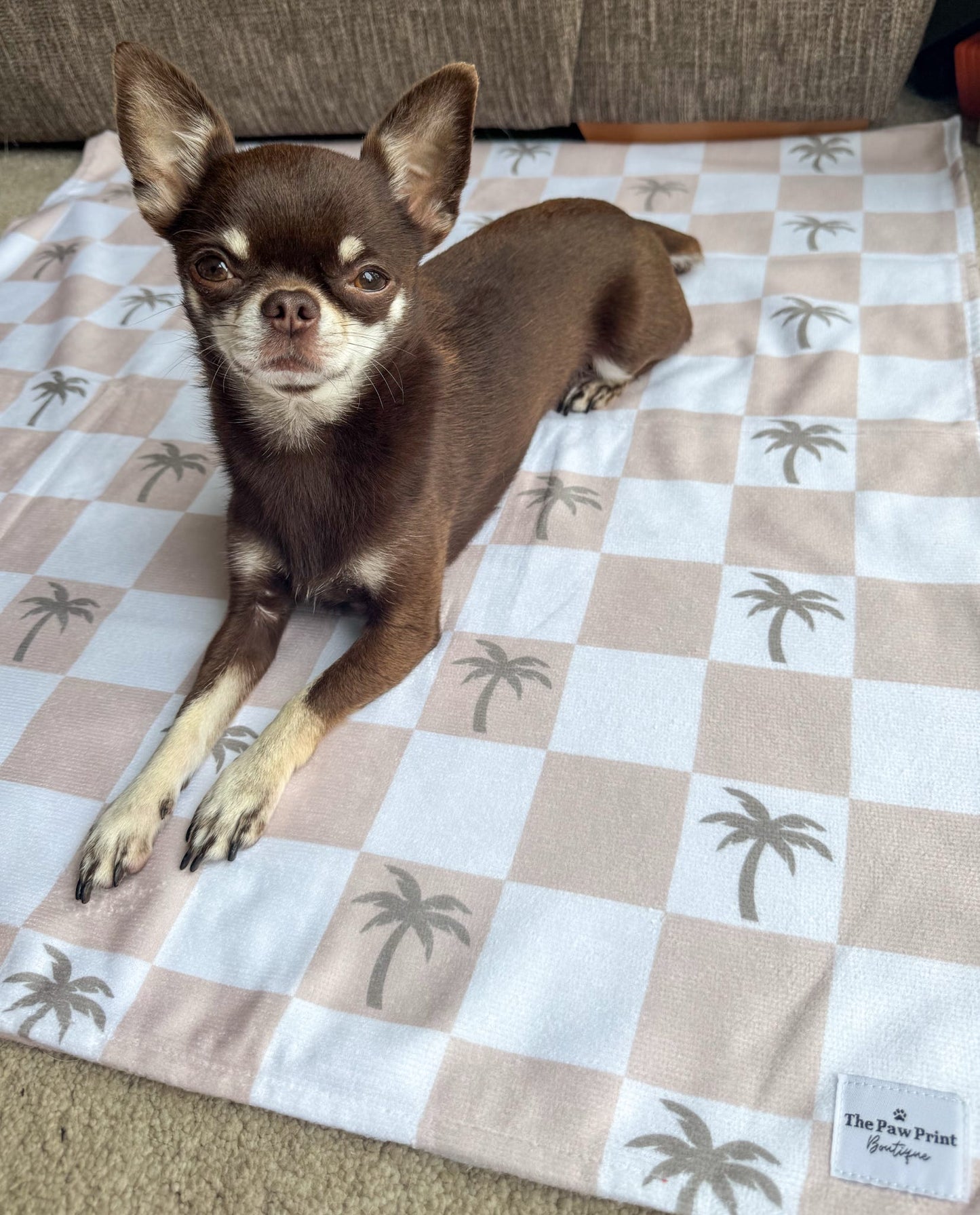Palm Spring Beach Towel
