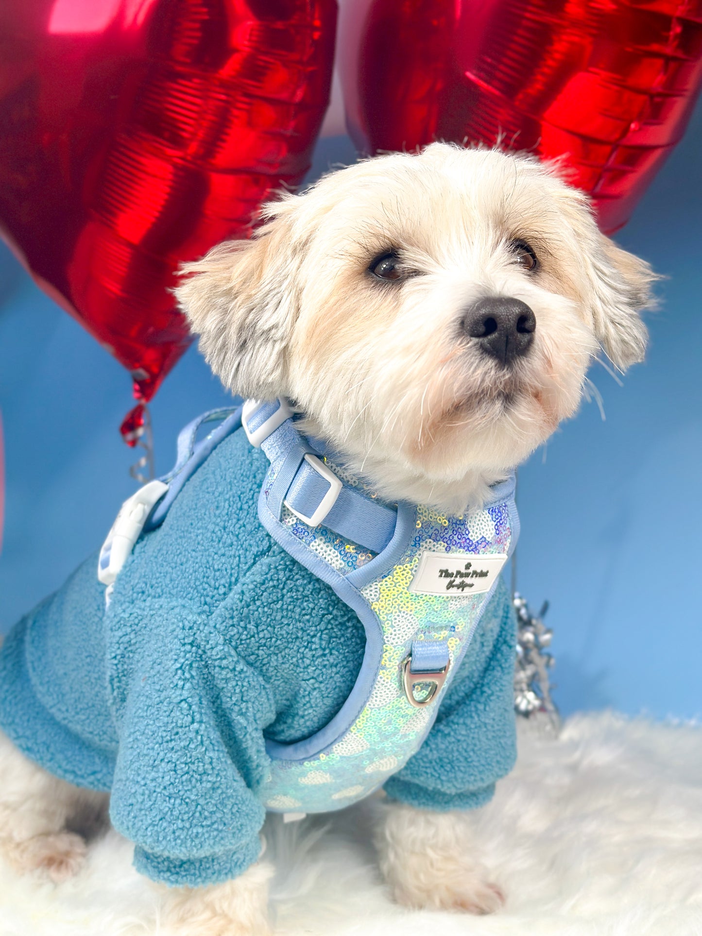 The Sassy in Sequins - Baby Blue Adventure Paws Harness