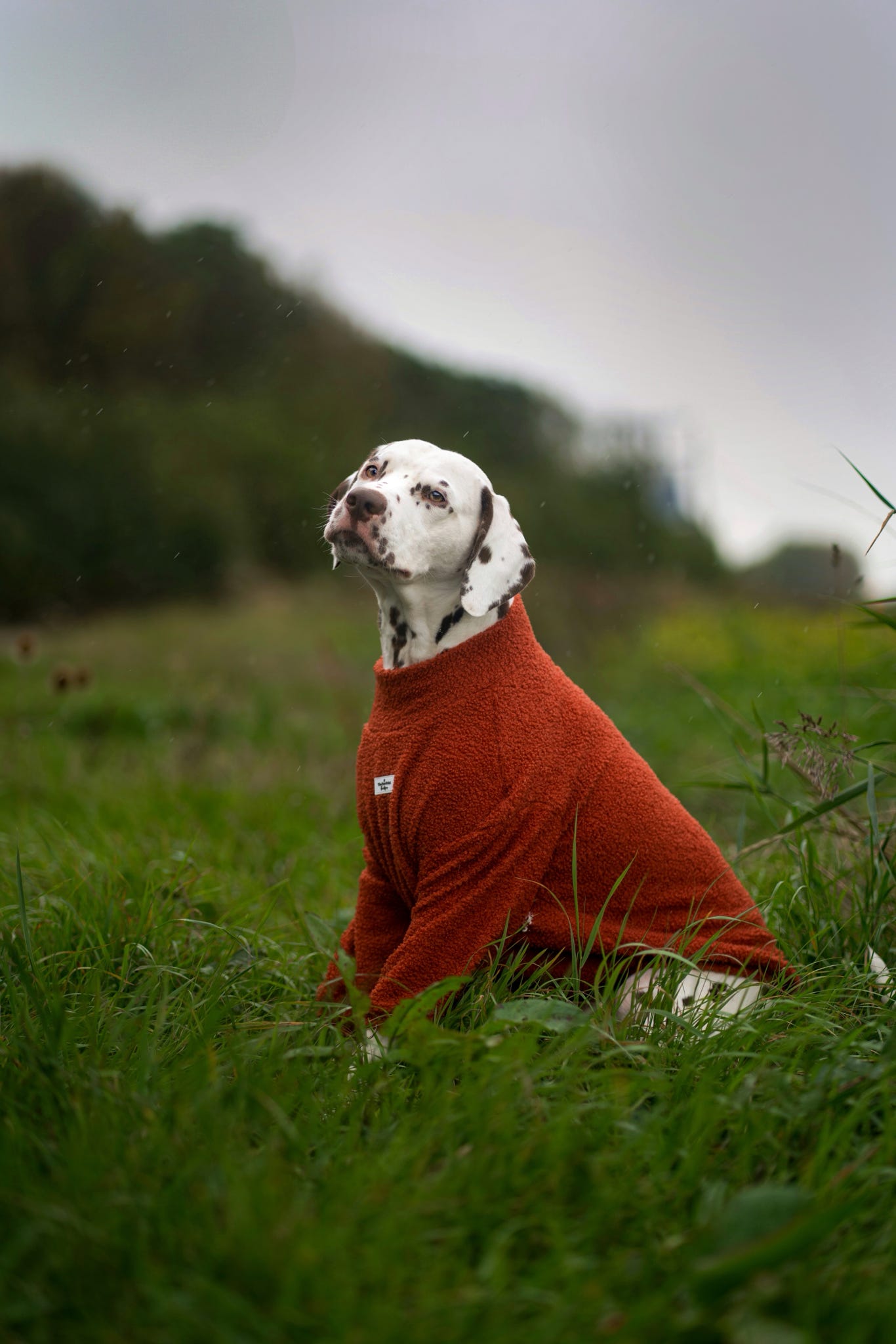 Teddy Fleece - Burnt Orange