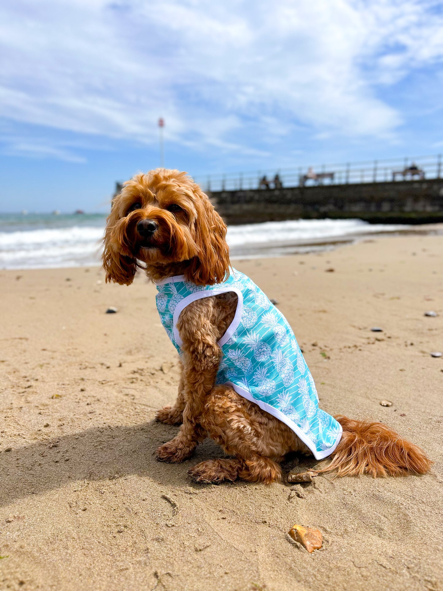 The Pineapple Pawty Cooling Vest