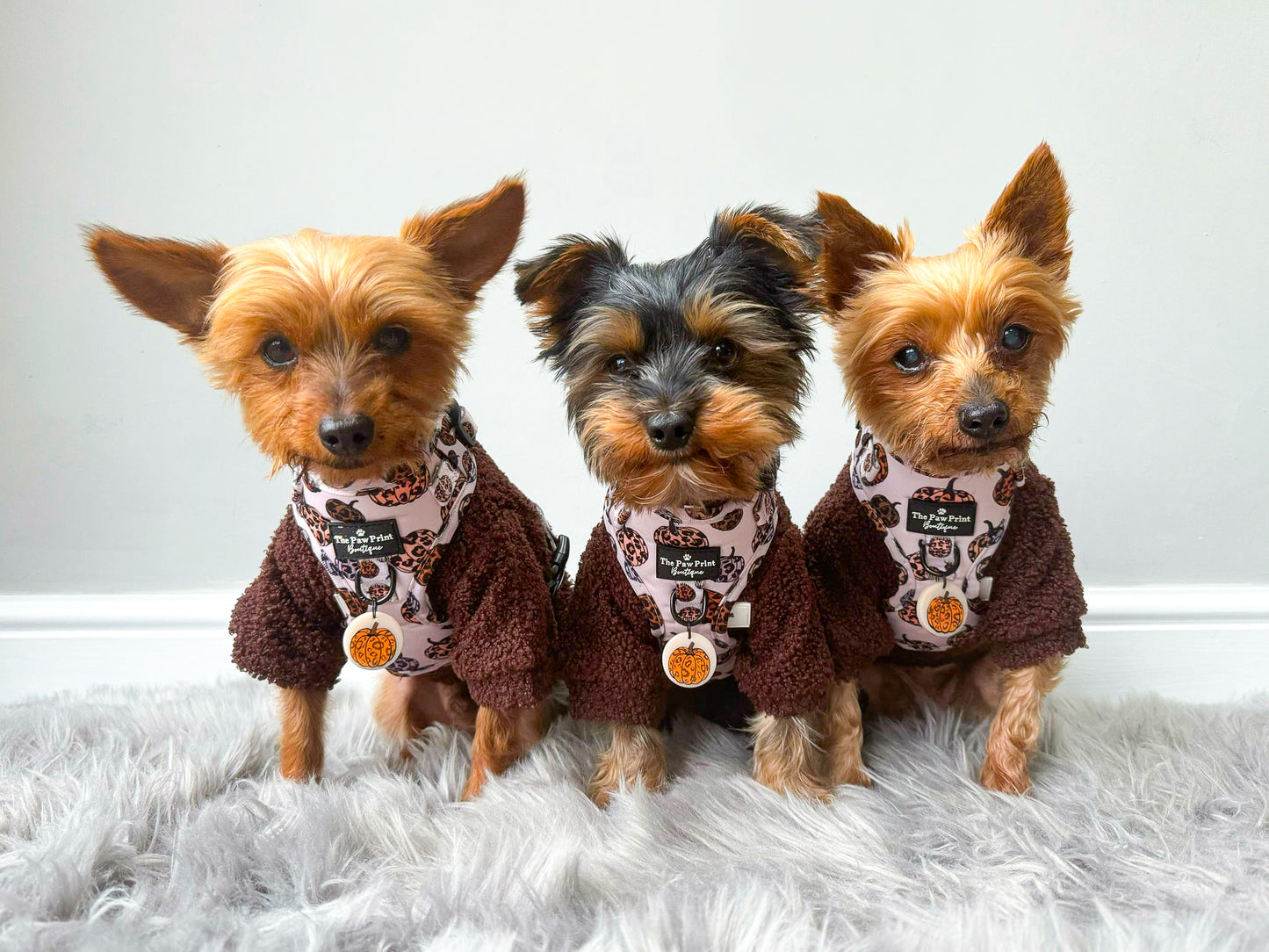 Teddy Fleece - Chocolate